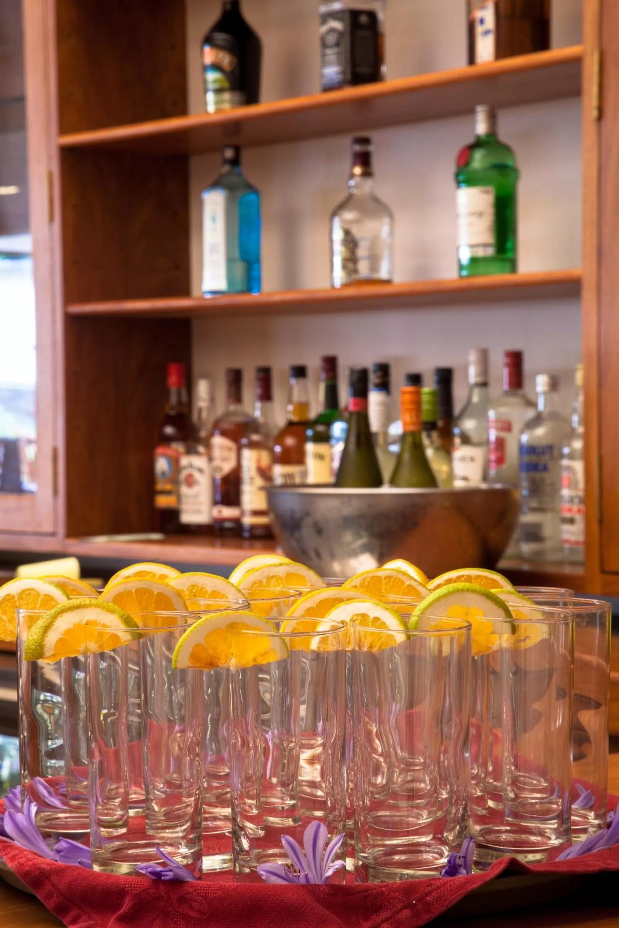 Lounge or bar in Bird Of Paradise Hotel