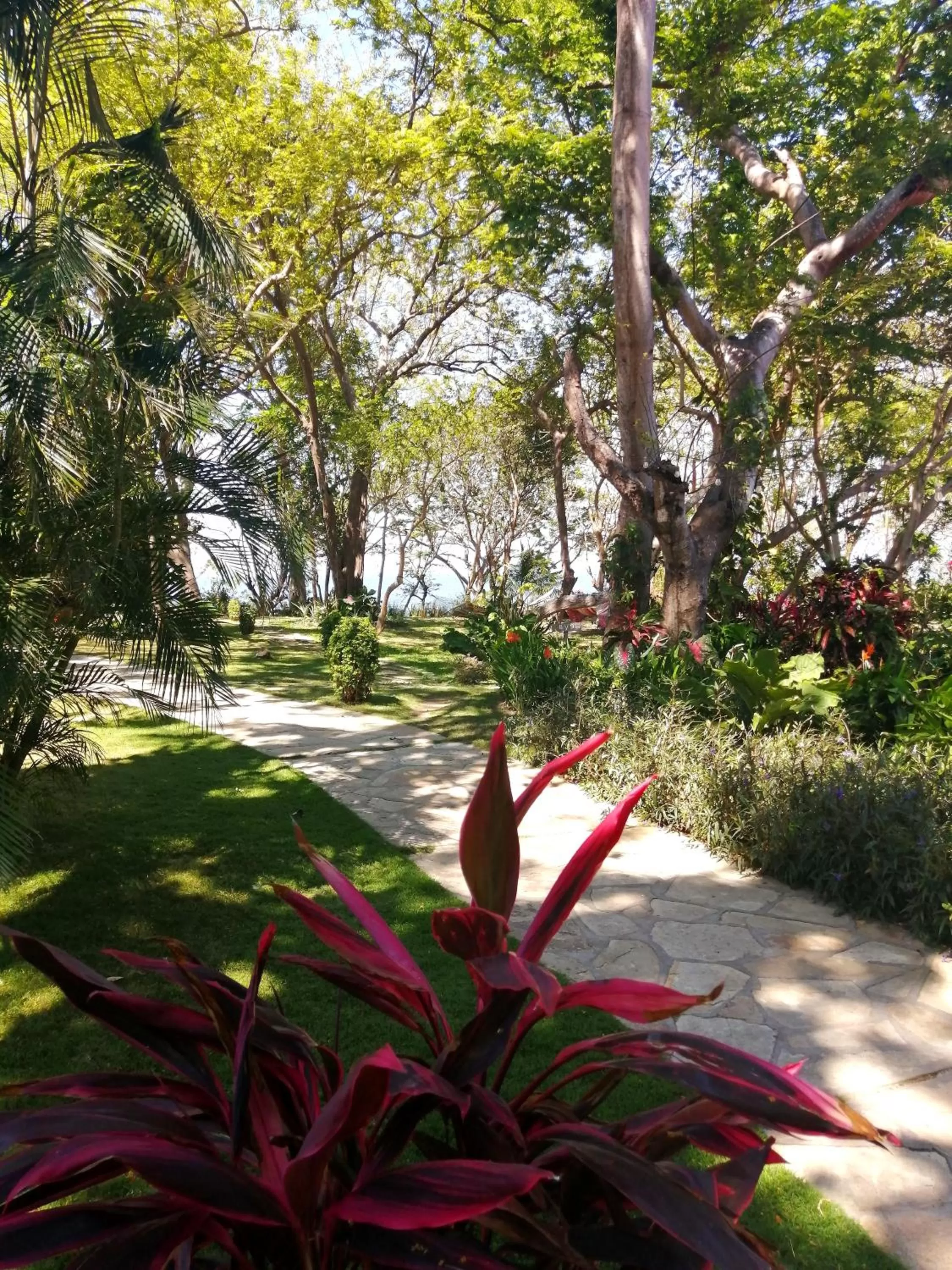 Garden in Xalli Beach Hotel