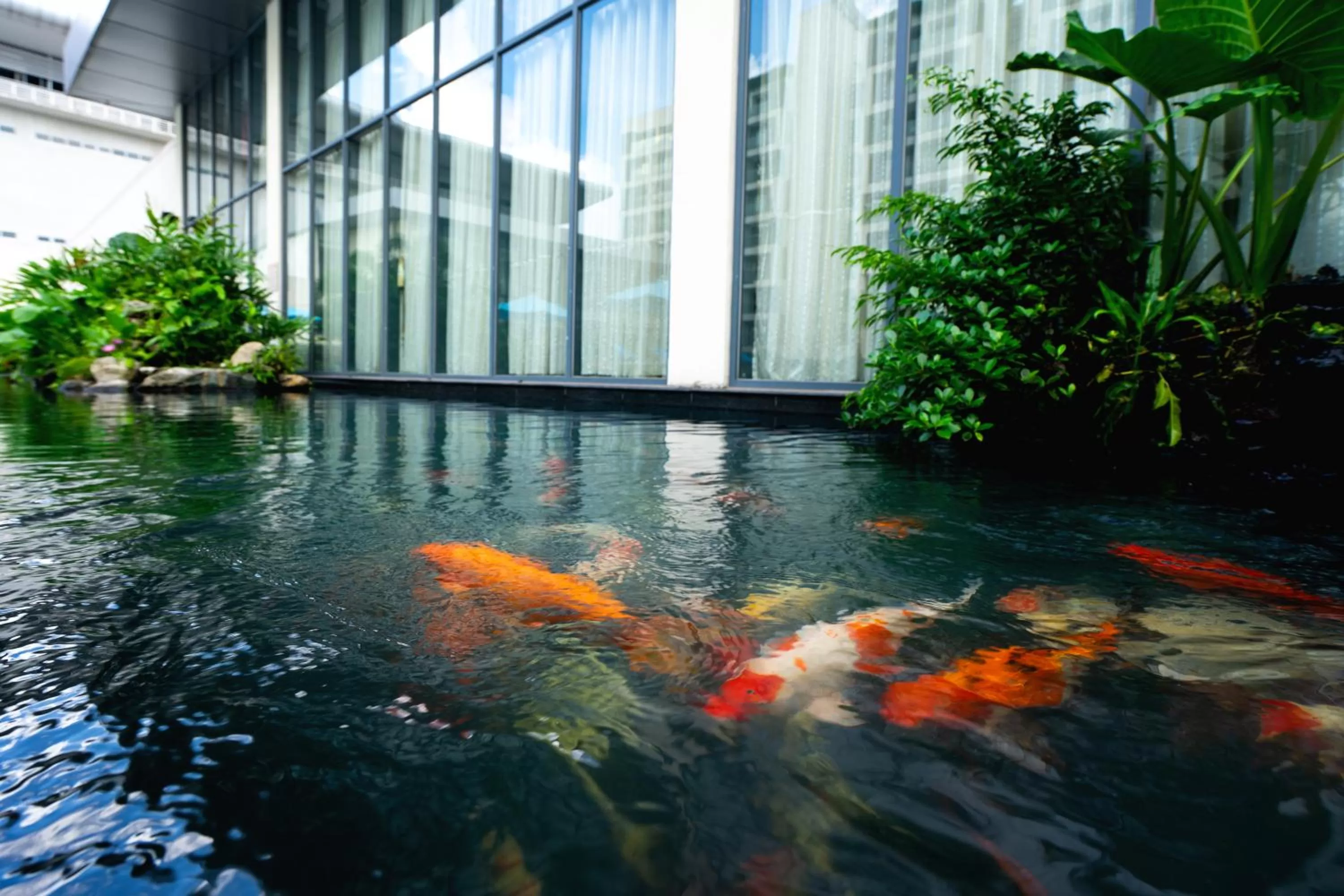 Garden in Becamex Hotel New City