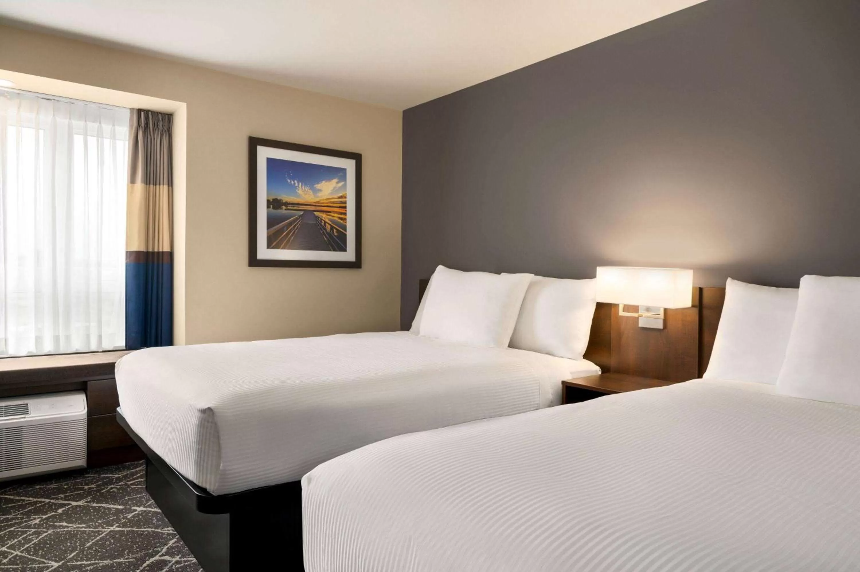 Photo of the whole room, Bed in Microtel Inn & Suites by Wyndham Aurora