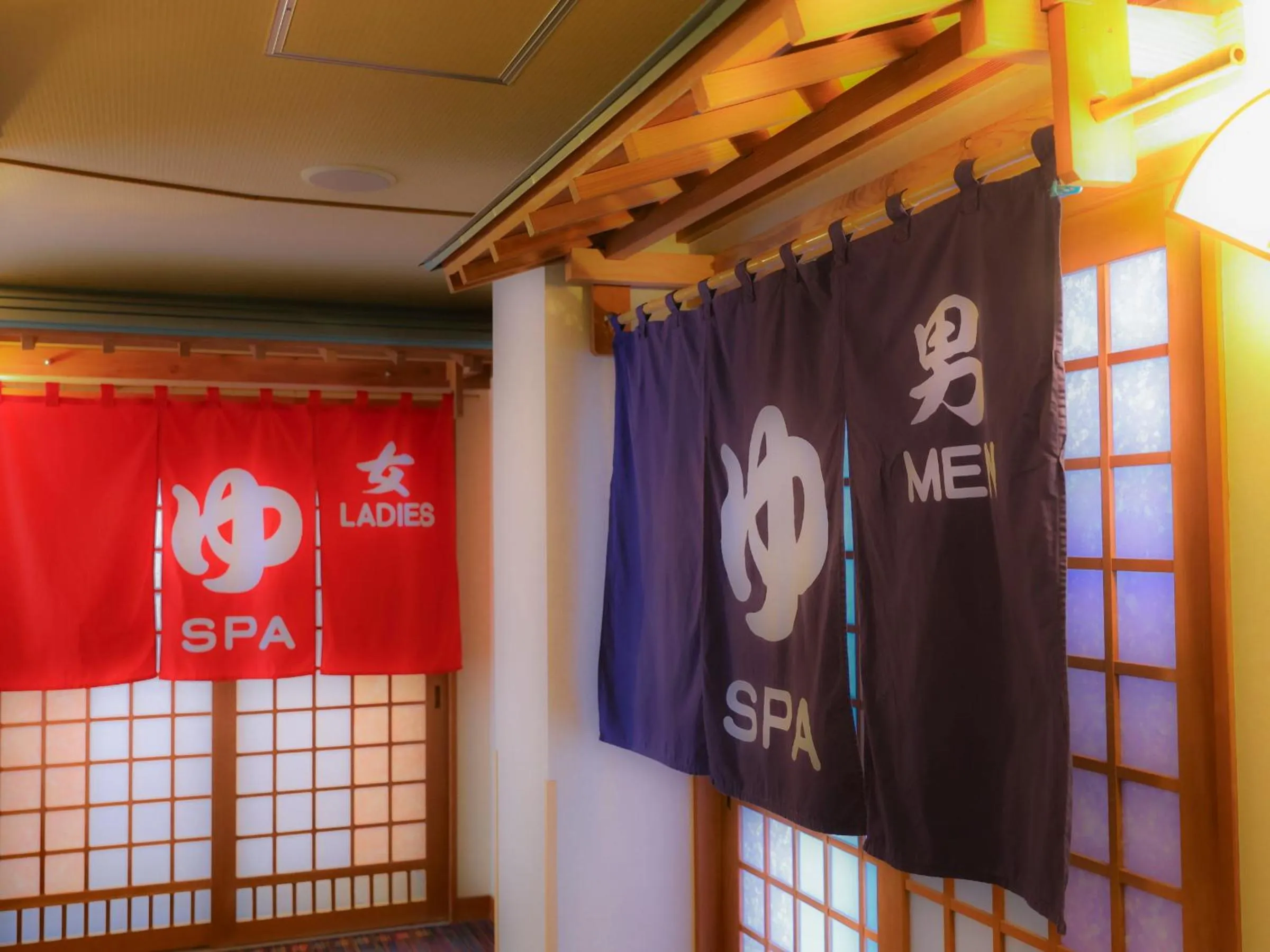 Hot Spring Bath in Hotel Asafuji