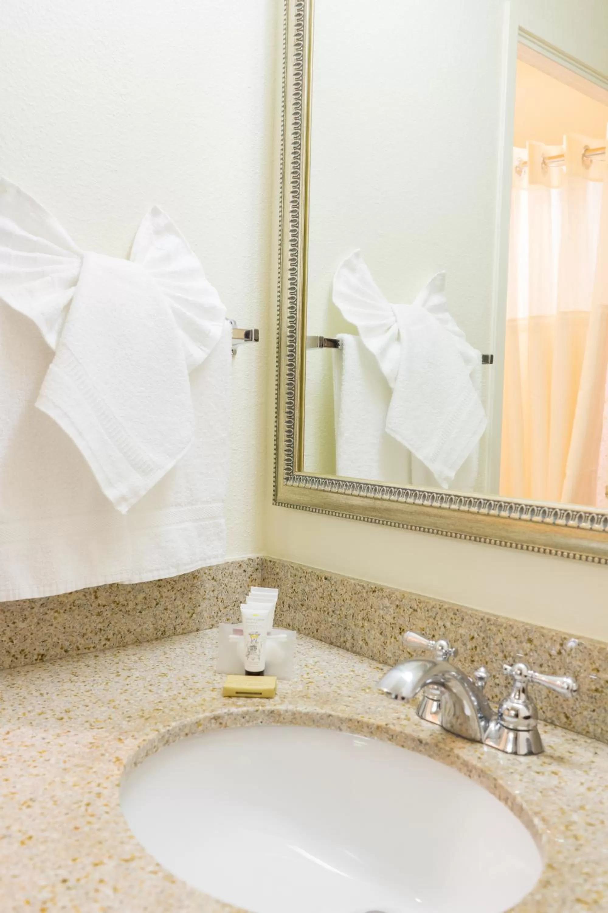 Bathroom in Oakland Airport Executive Hotel