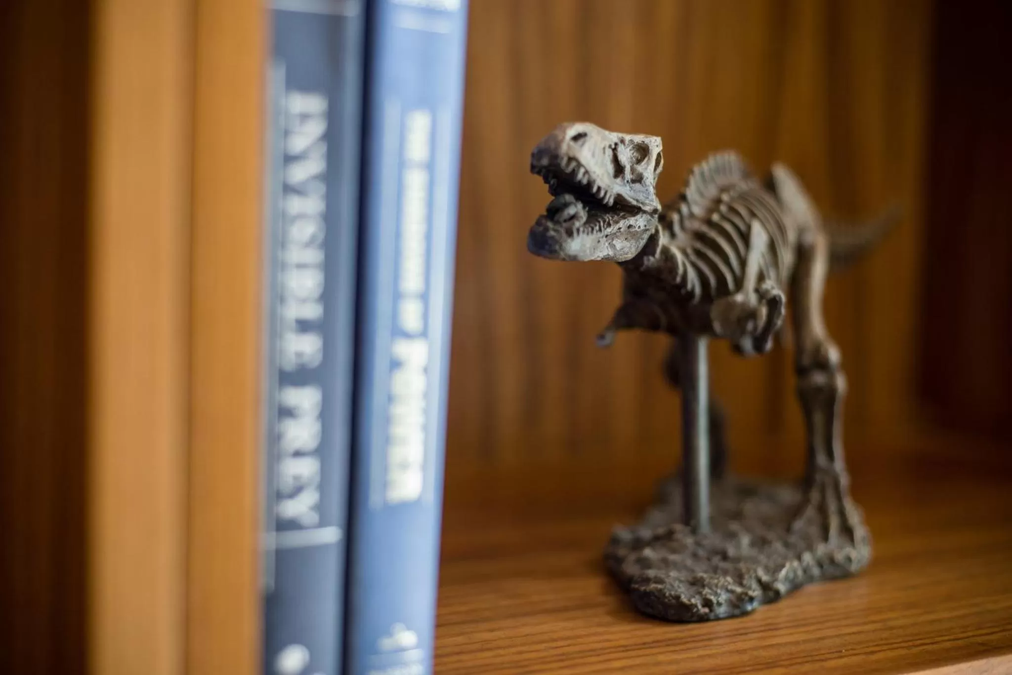 Lobby or reception in Naay Tulum Curamoria Collection