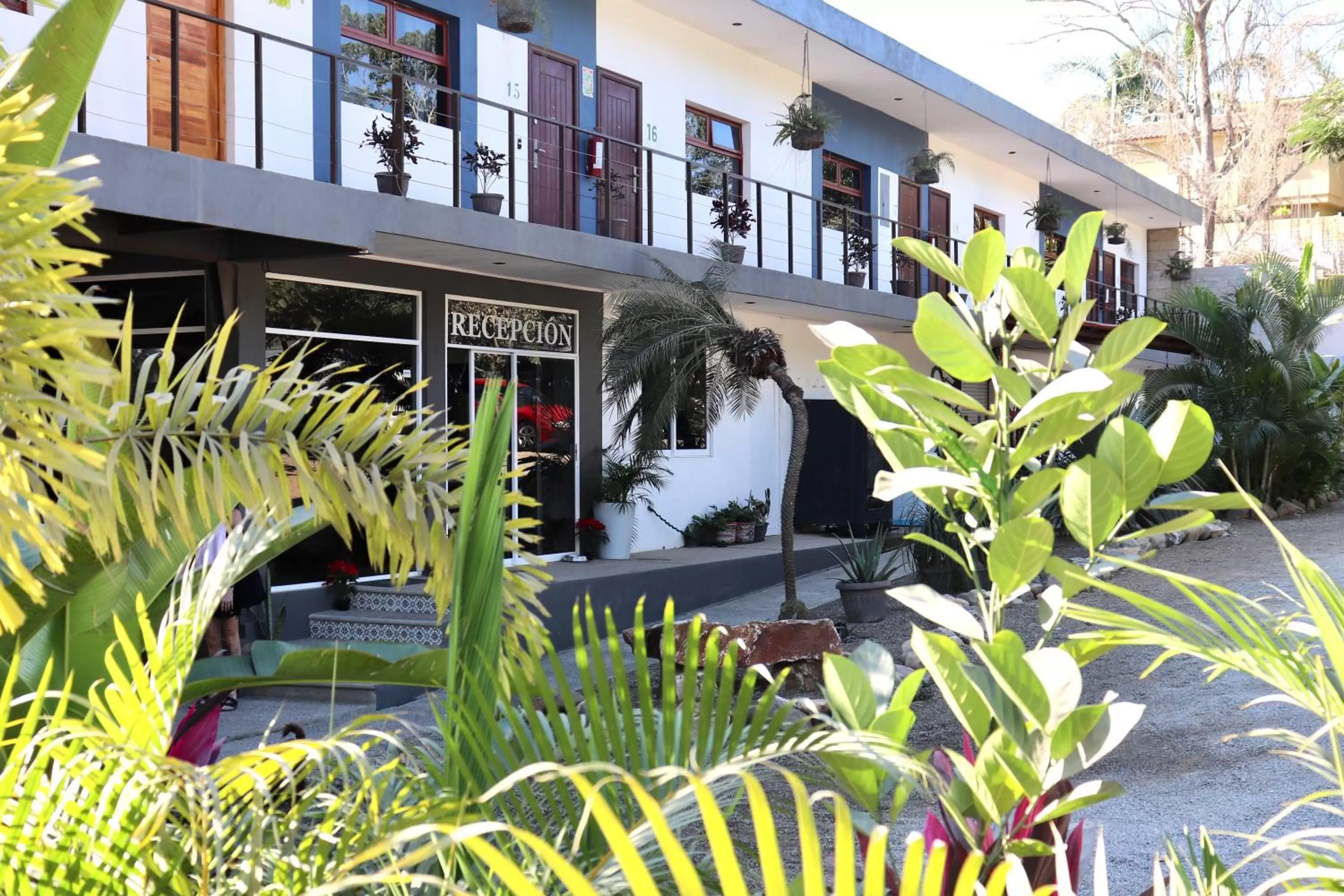 Facade/entrance in Hotel Samanu