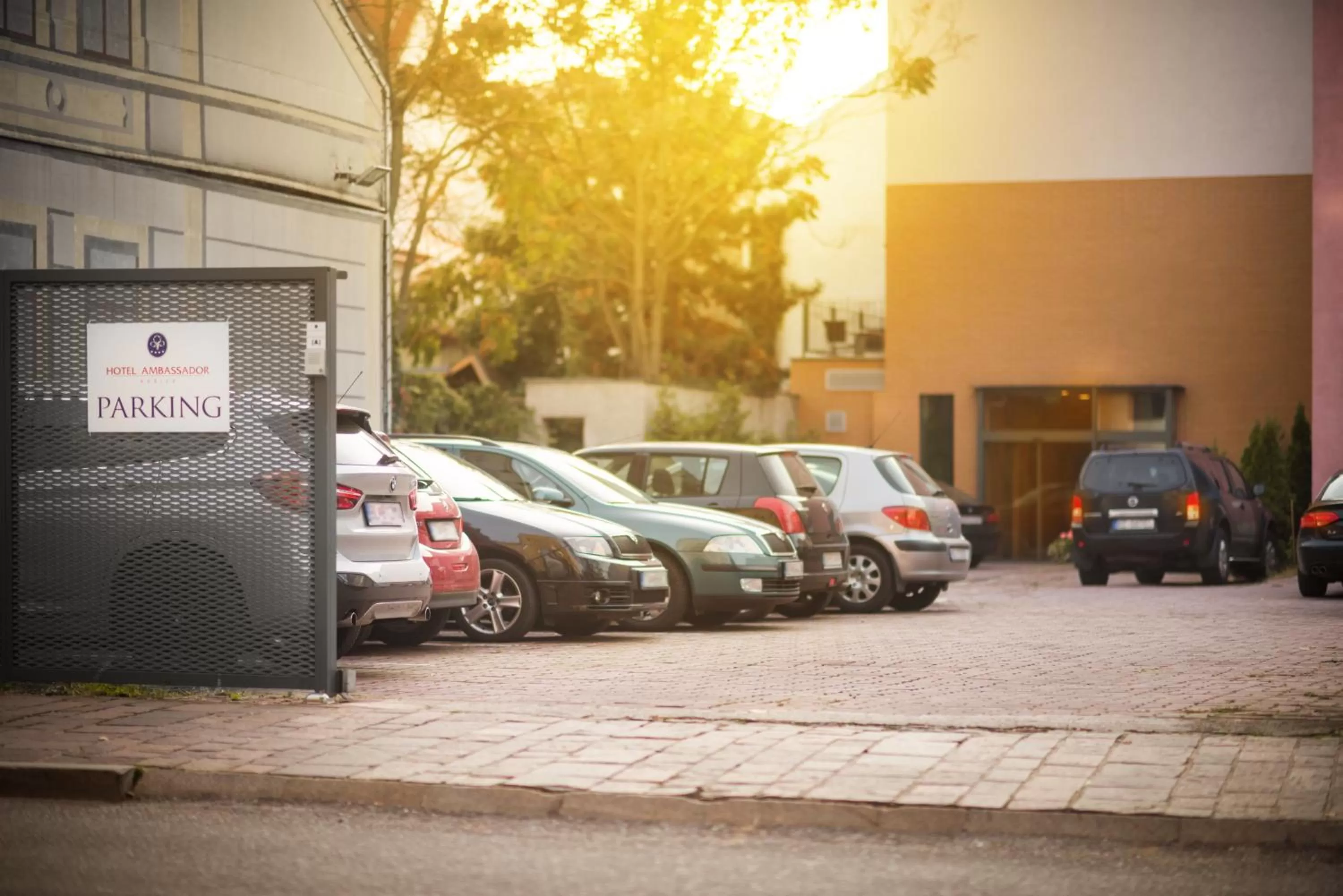 Area and facilities in Hotel Ambassador