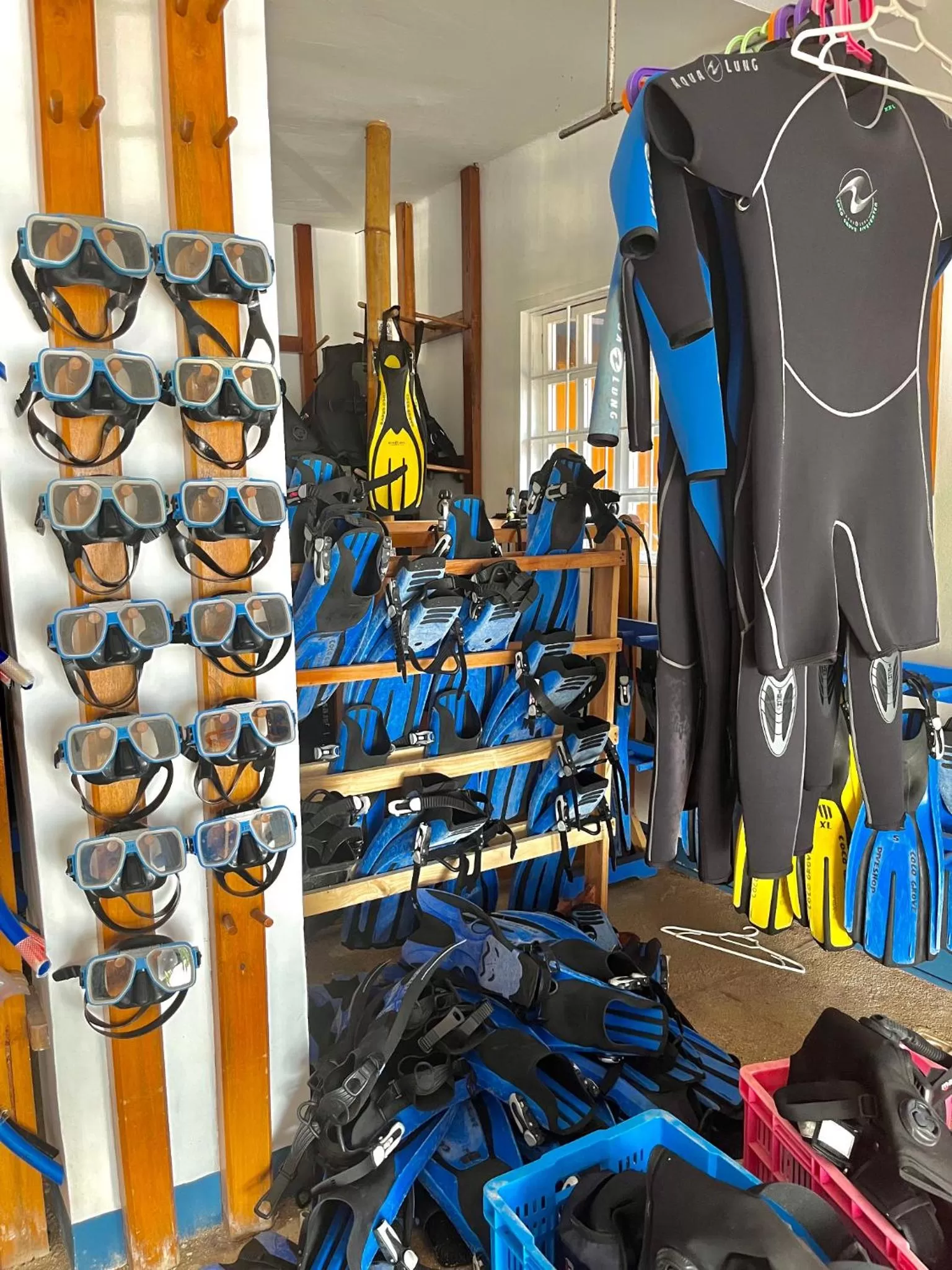 Diving in Coco Grove Beach Resort, Siquijor Island