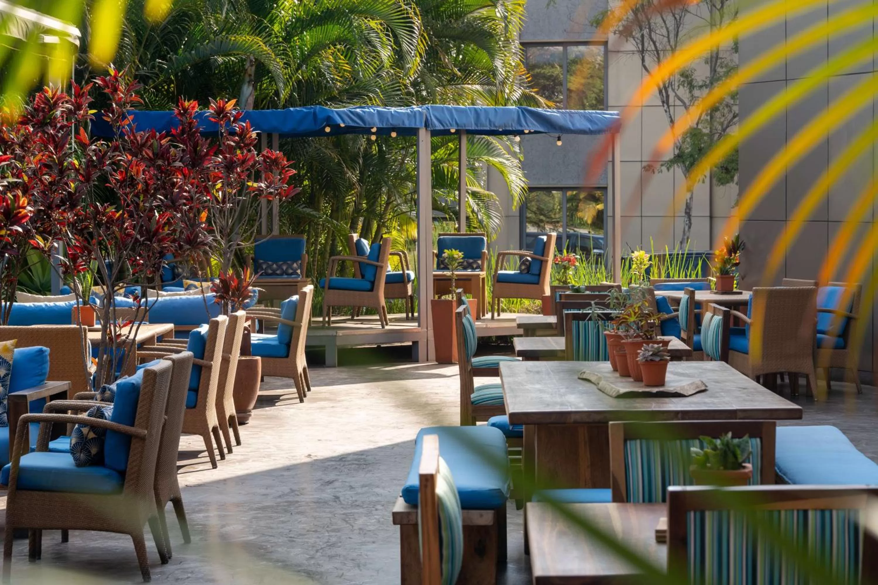 Restaurant/places to eat in Radisson Blu Hotel Lusaka