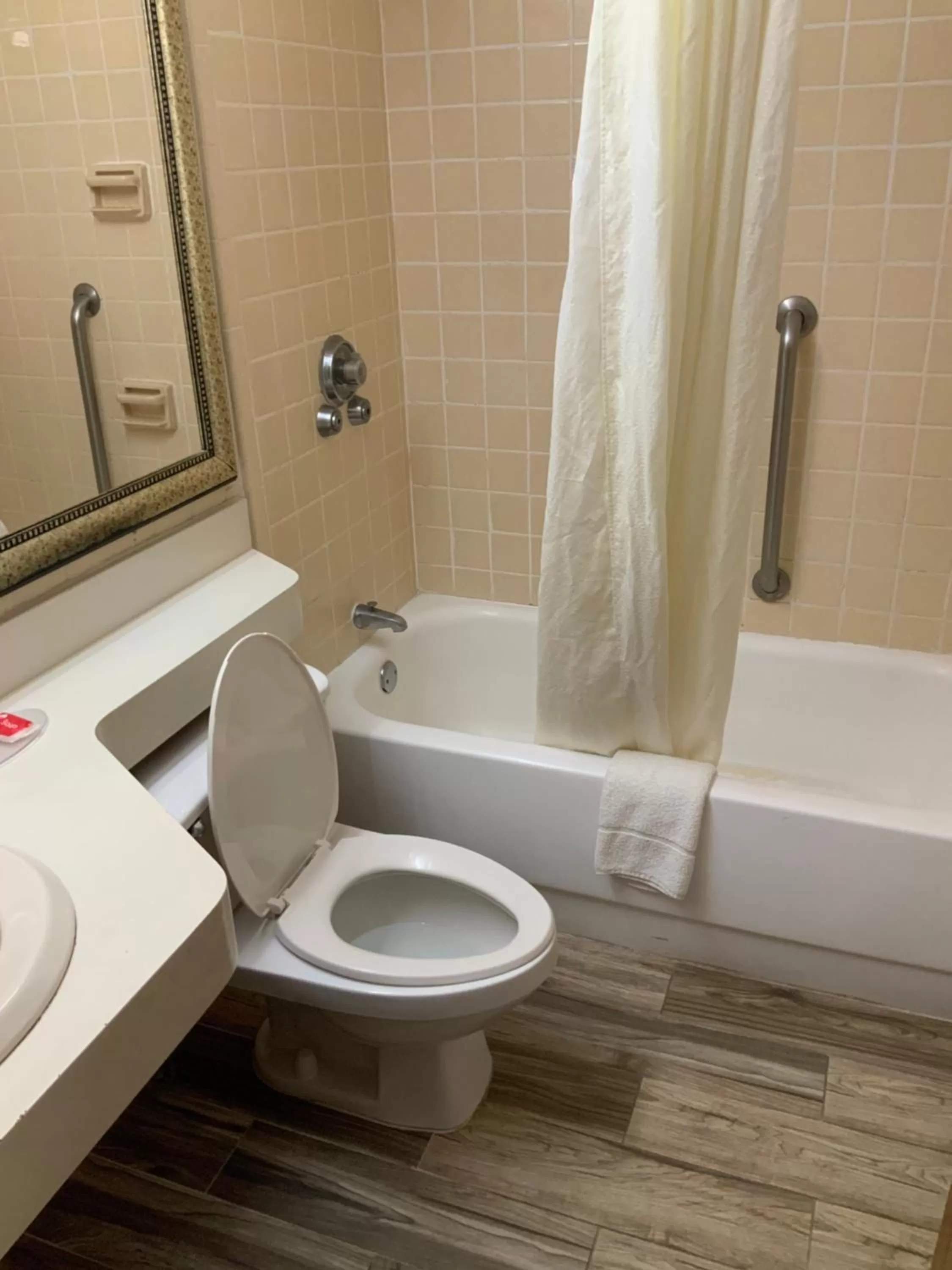 Bath in Econo Lodge - Perry National Fair Ground Area