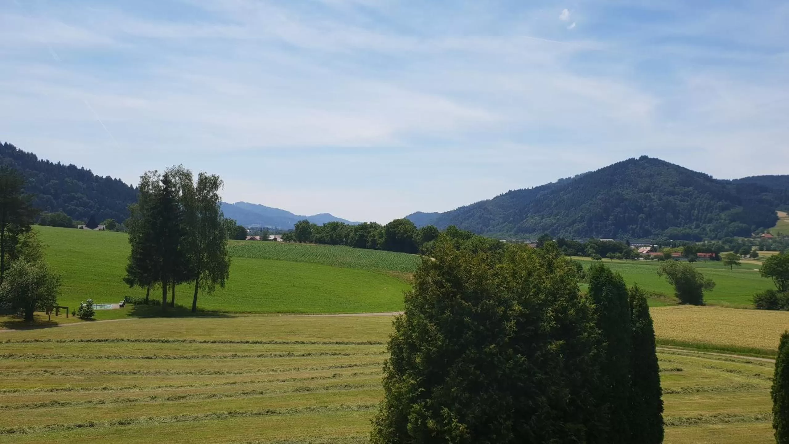 View (from property/room) in Silberkönig Schwarzwald Hotel & Restaurant Ringhotel