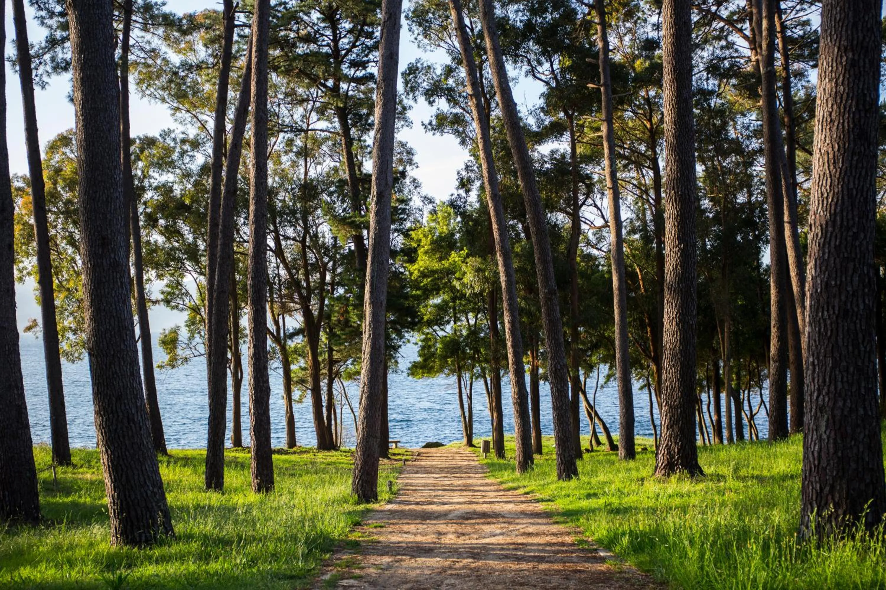 Off site in Gran Talaso Hotel Sanxenxo