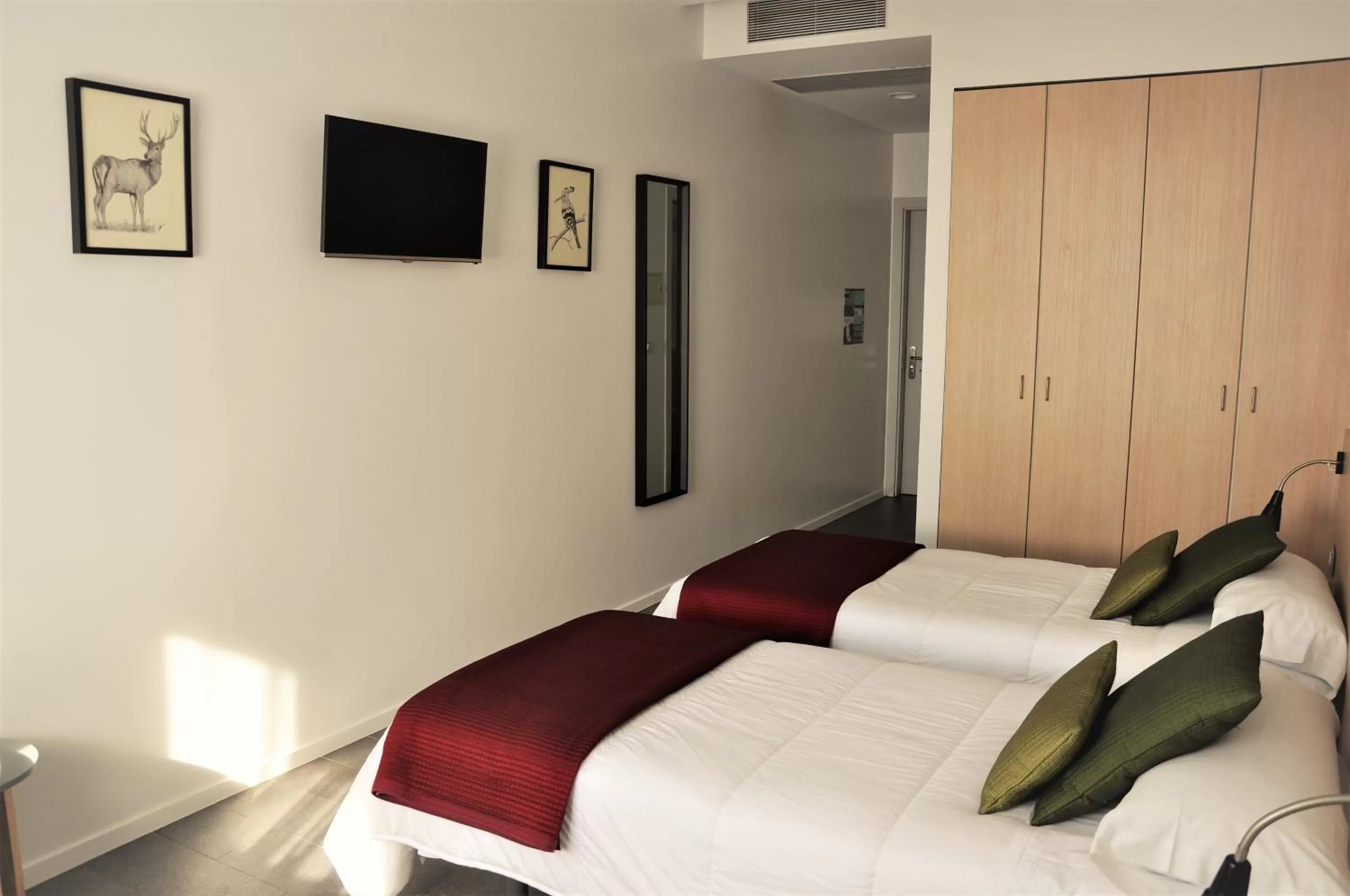 Photo of the whole room, Bed in Centre Esplai Albergue