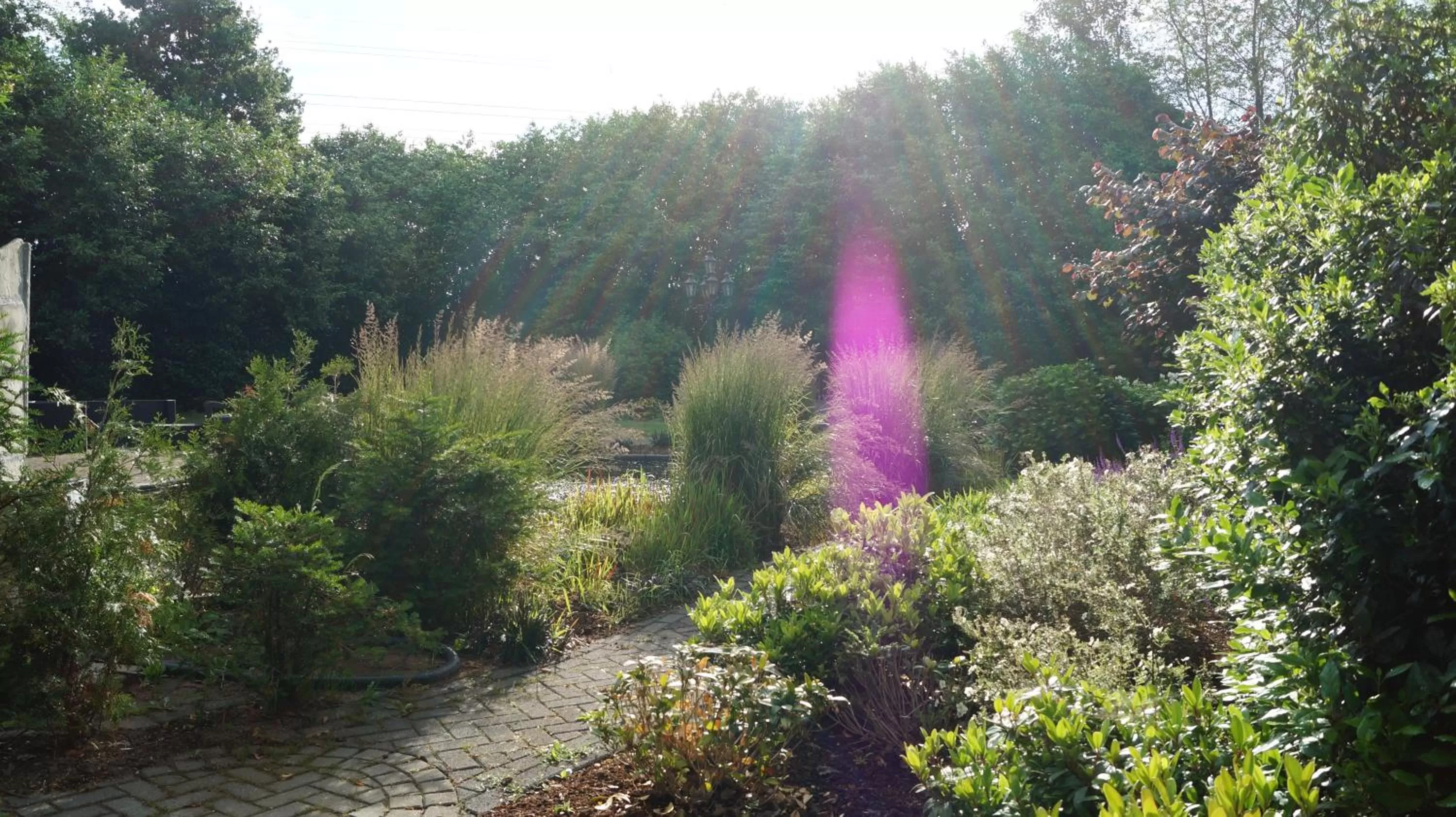 Garden, Natural Landscape in B&B Johannes-Hoeve