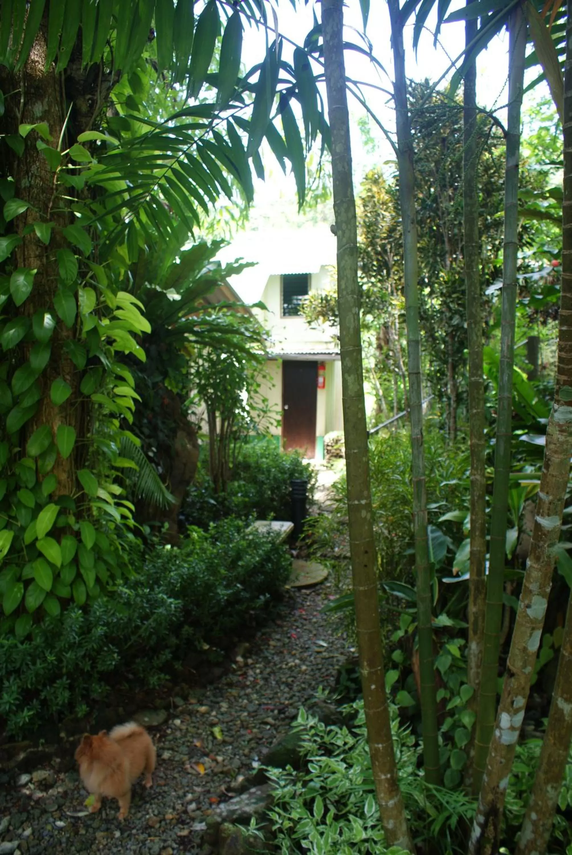 Garden in Rock Inn Bailan