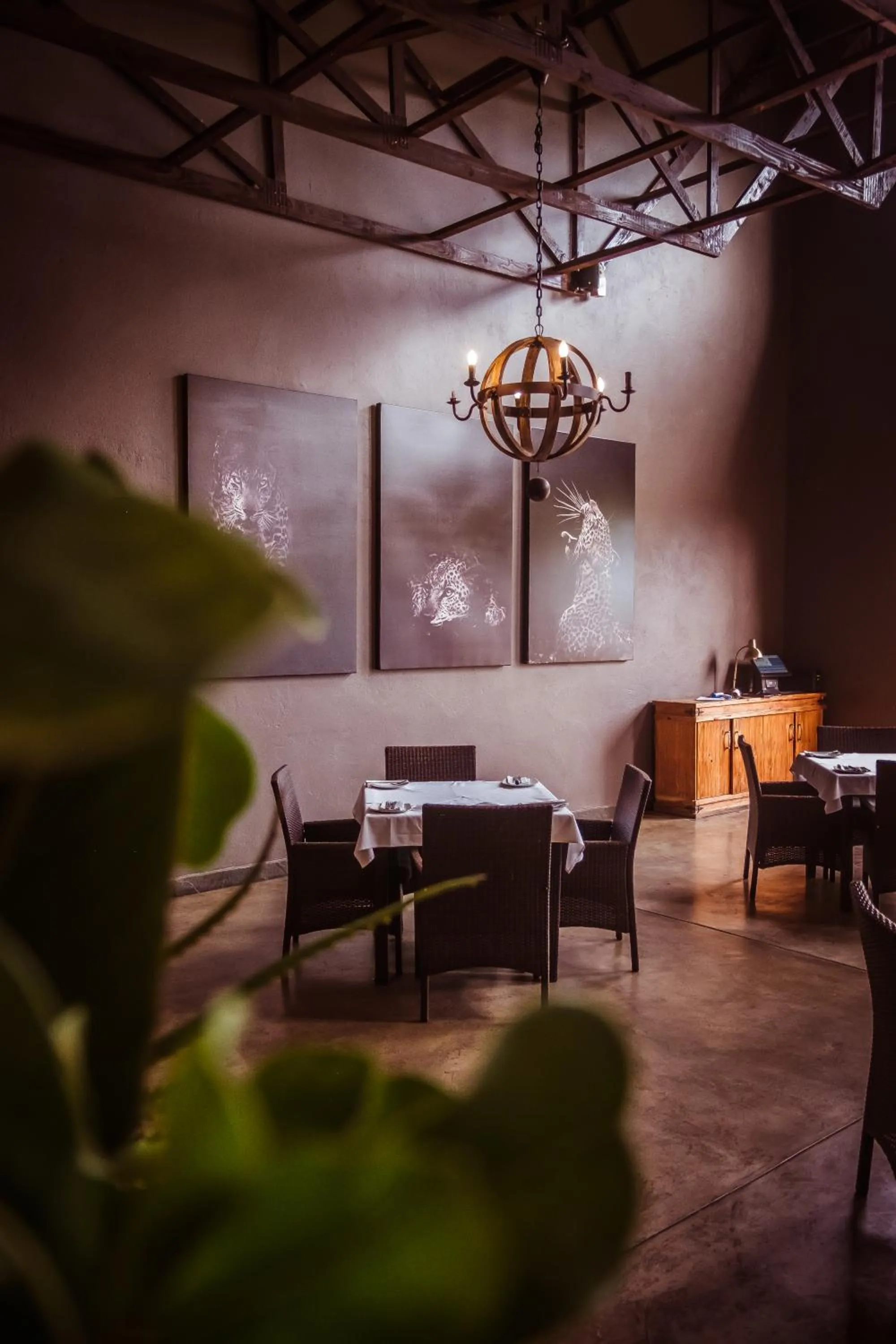 Restaurant/places to eat in Bushveld Terrace Safari Hotel, Lodge & Spa