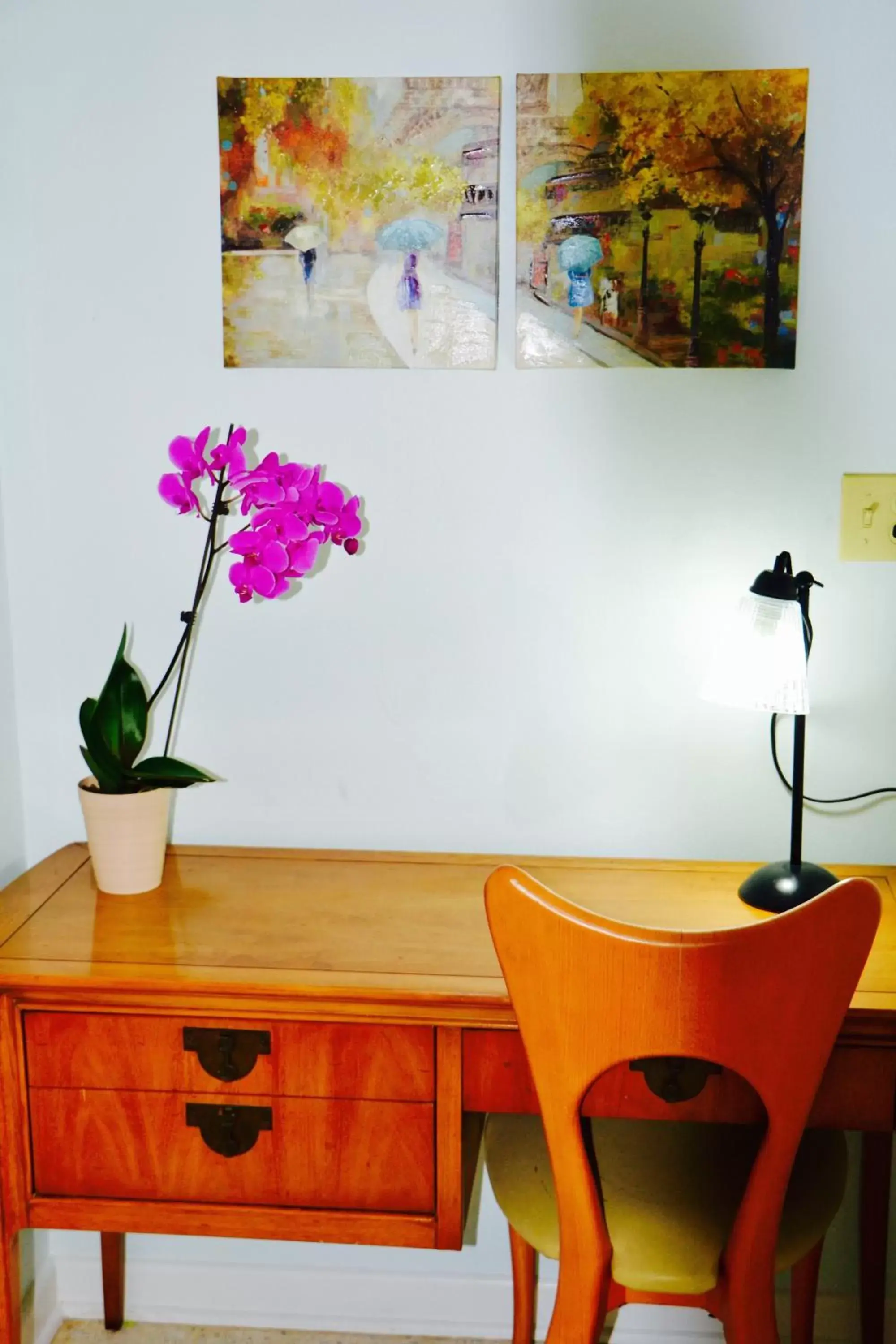 Apartment - Ground Floor in Sea Turtle Inn Apartment - Ground Floor in Sea Turtle Inn