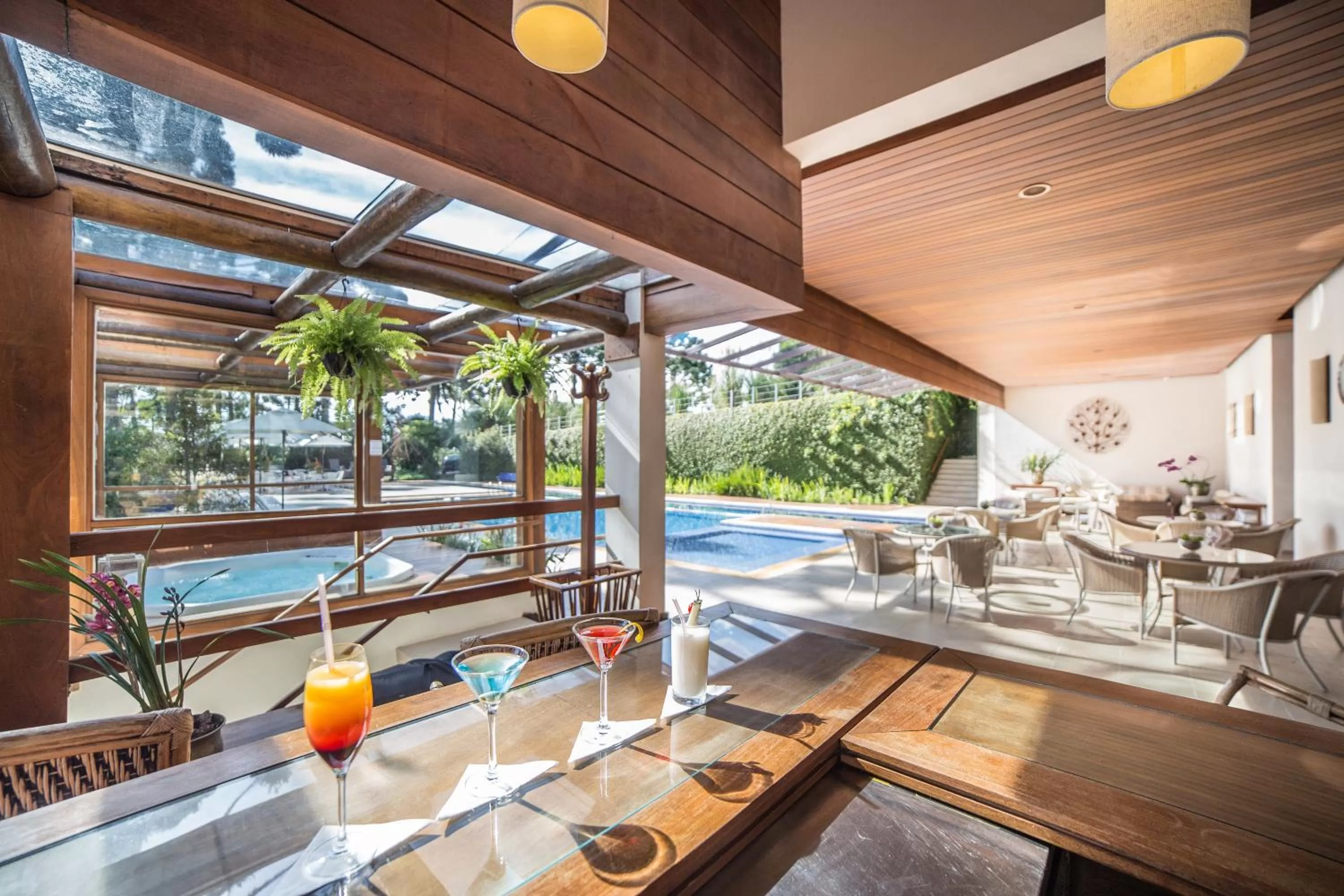 Lounge or bar in Hotel Toriba