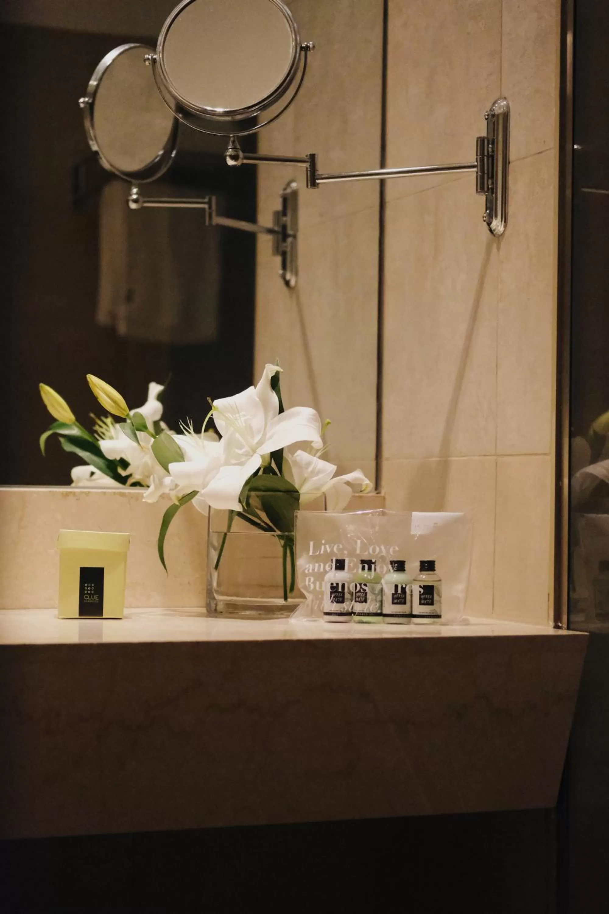 Bathroom in Hotel Madero Buenos Aires, WorldHotels Elite