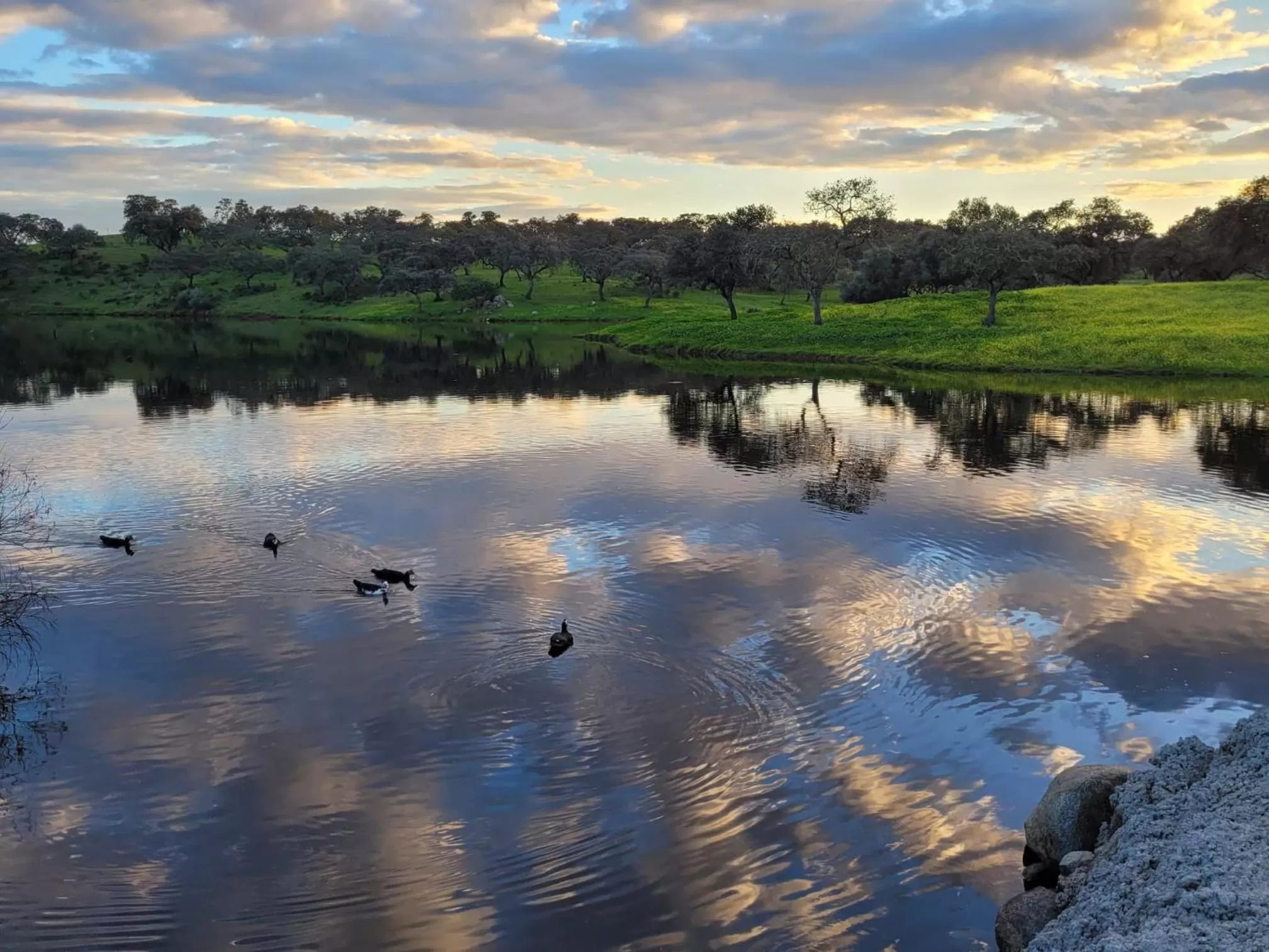 Sports in Alojamiento Rural Finca Barral
