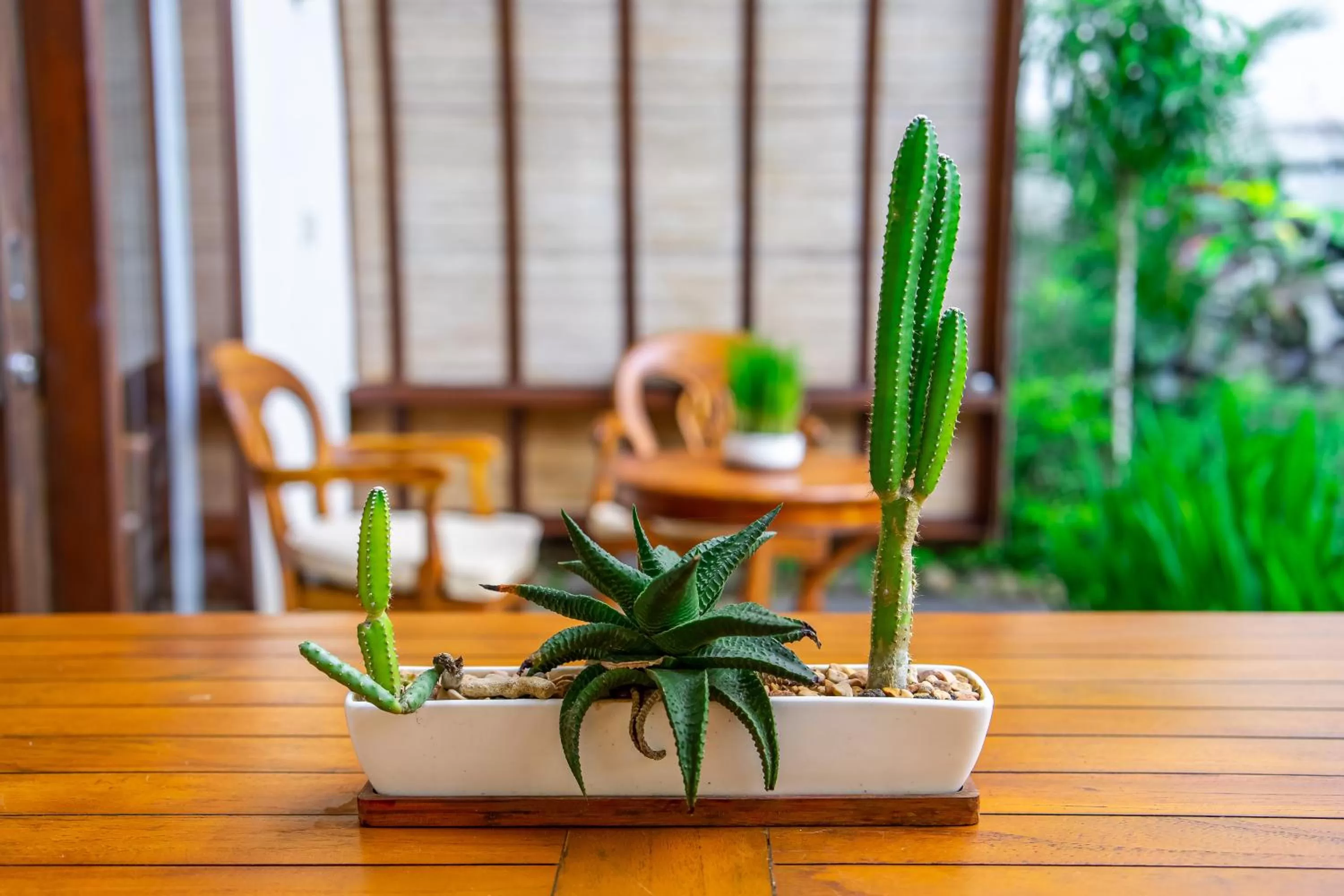 Balcony/Terrace in Klumpu Bali Resort