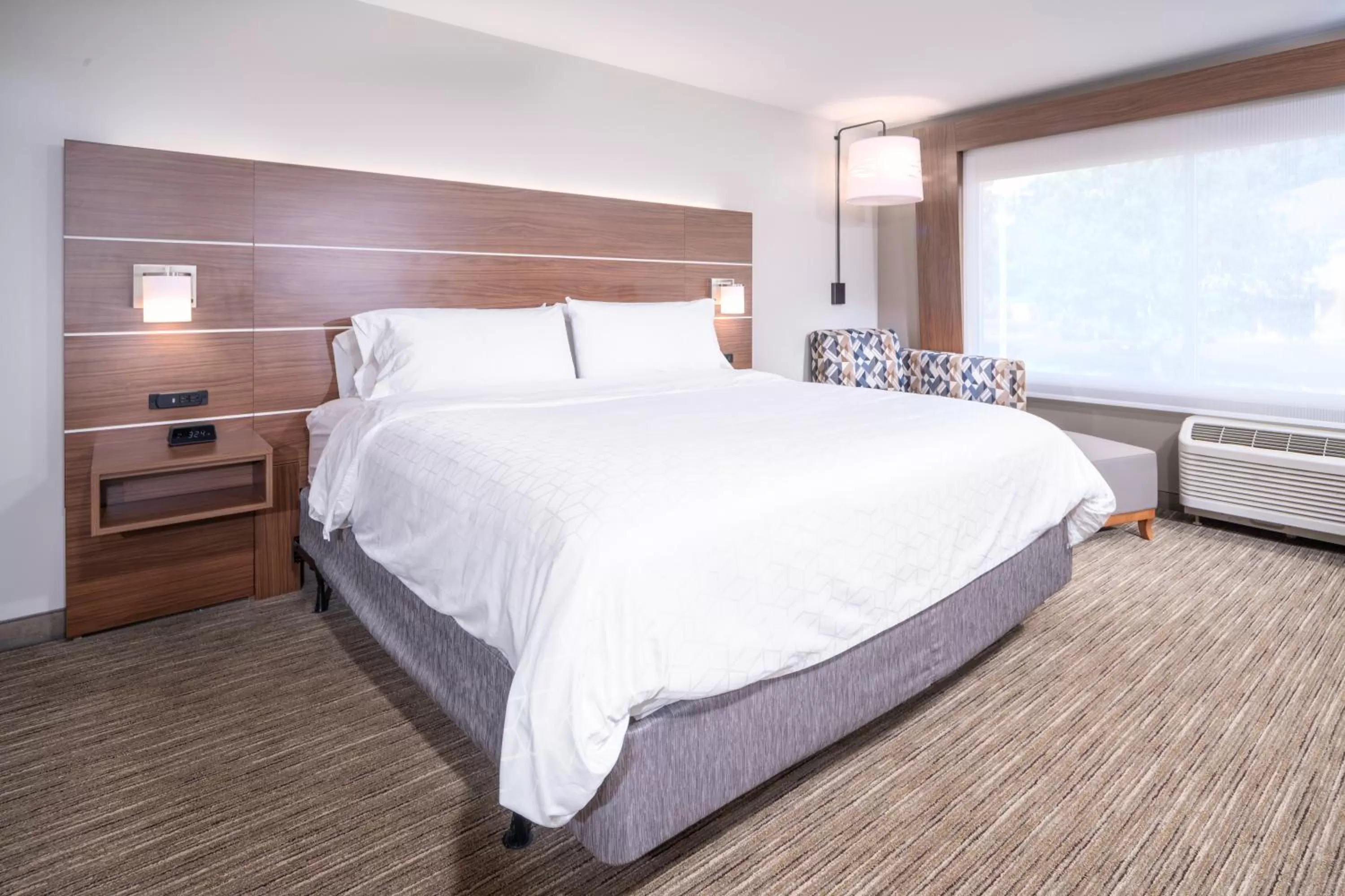 Photo of the whole room, Bed in Holiday Inn Express - Brevard by IHG