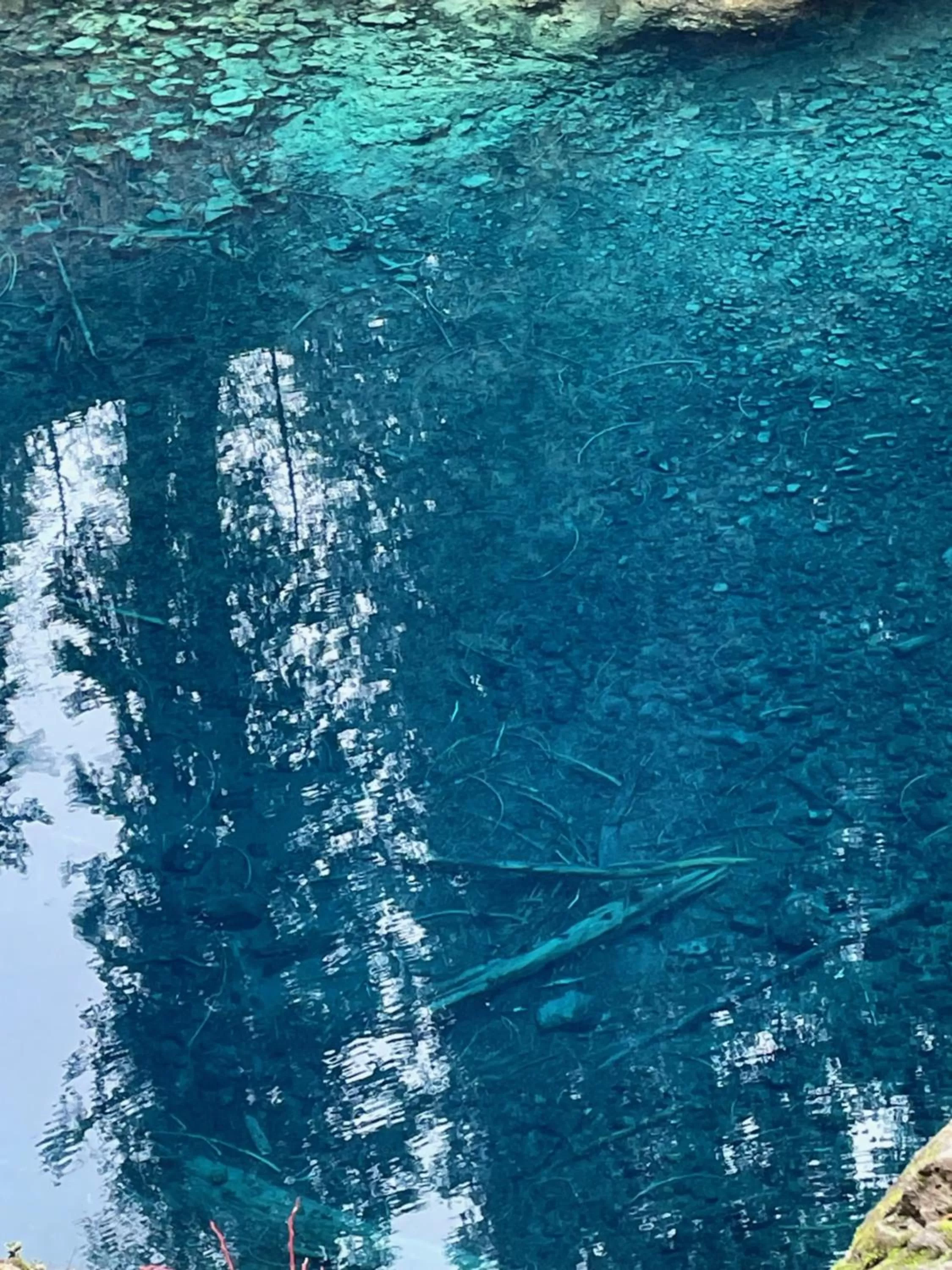 Activities in Smith Rock Resort