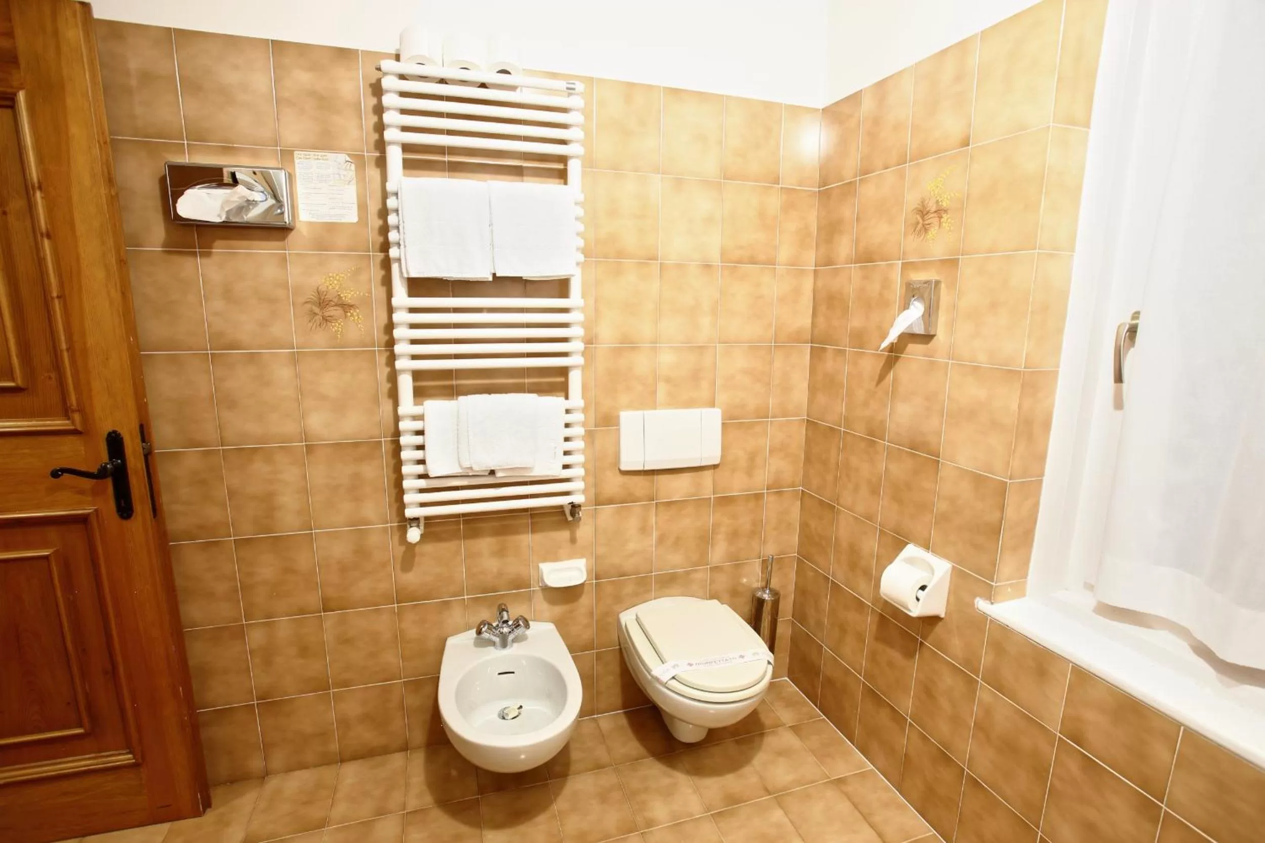 Toilet in Hotel Des Alpes