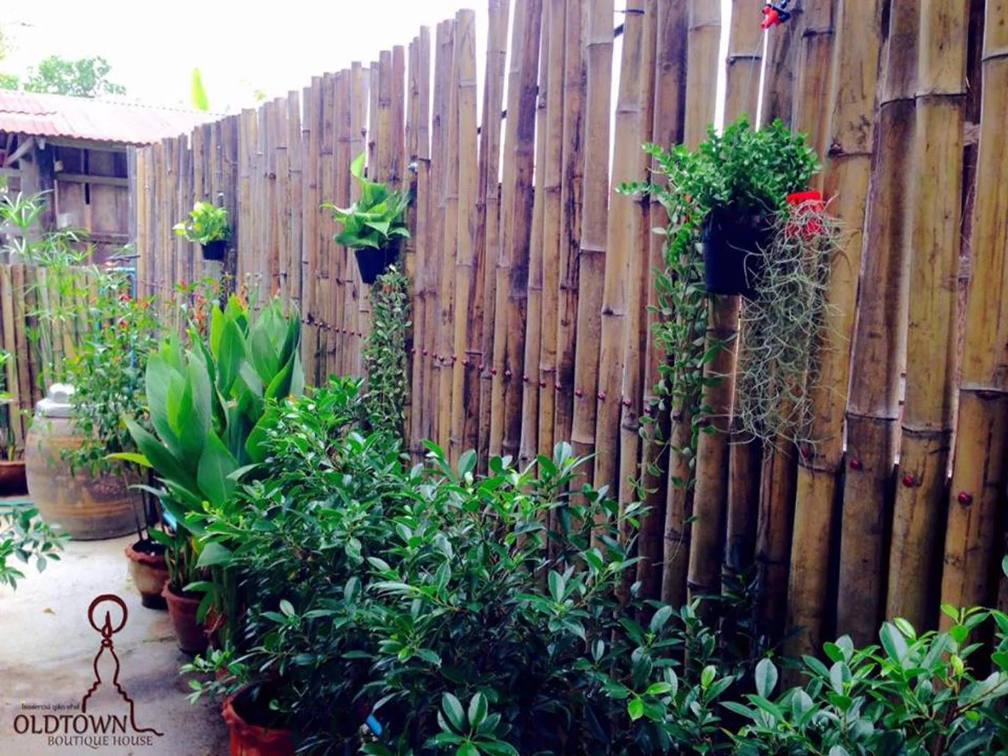 Garden view in OldTown Boutique House Sukhothai