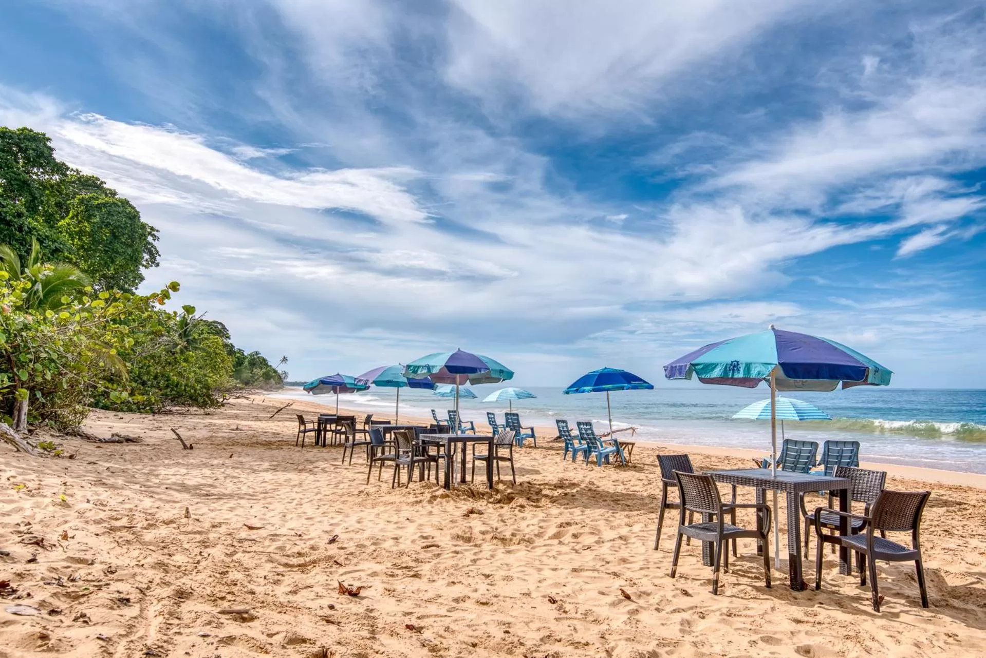 Restaurant/places to eat in Oasis Bluff Beach