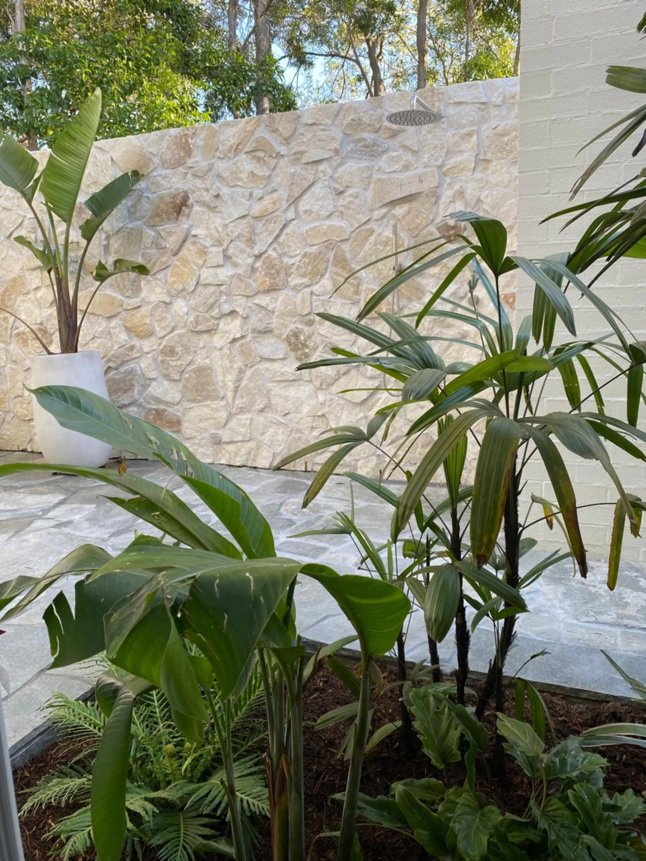 Garden view in Tallowwood House Luxury Bed & Breakfast