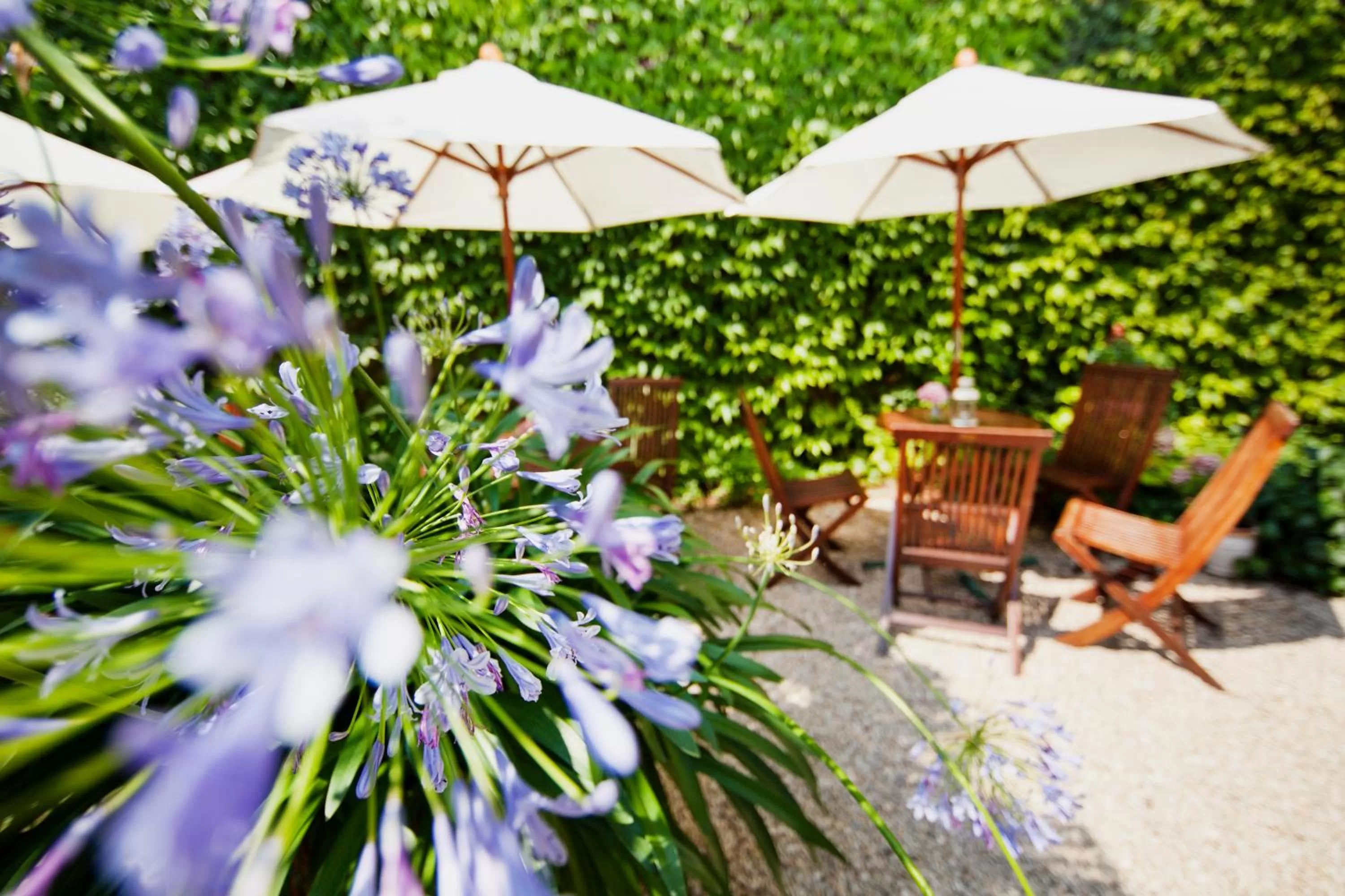 Garden in THE GATE GARDEN Hotel