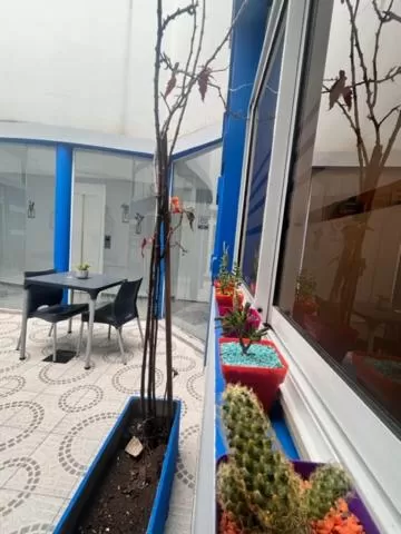 Patio in Hotel ATEPSA