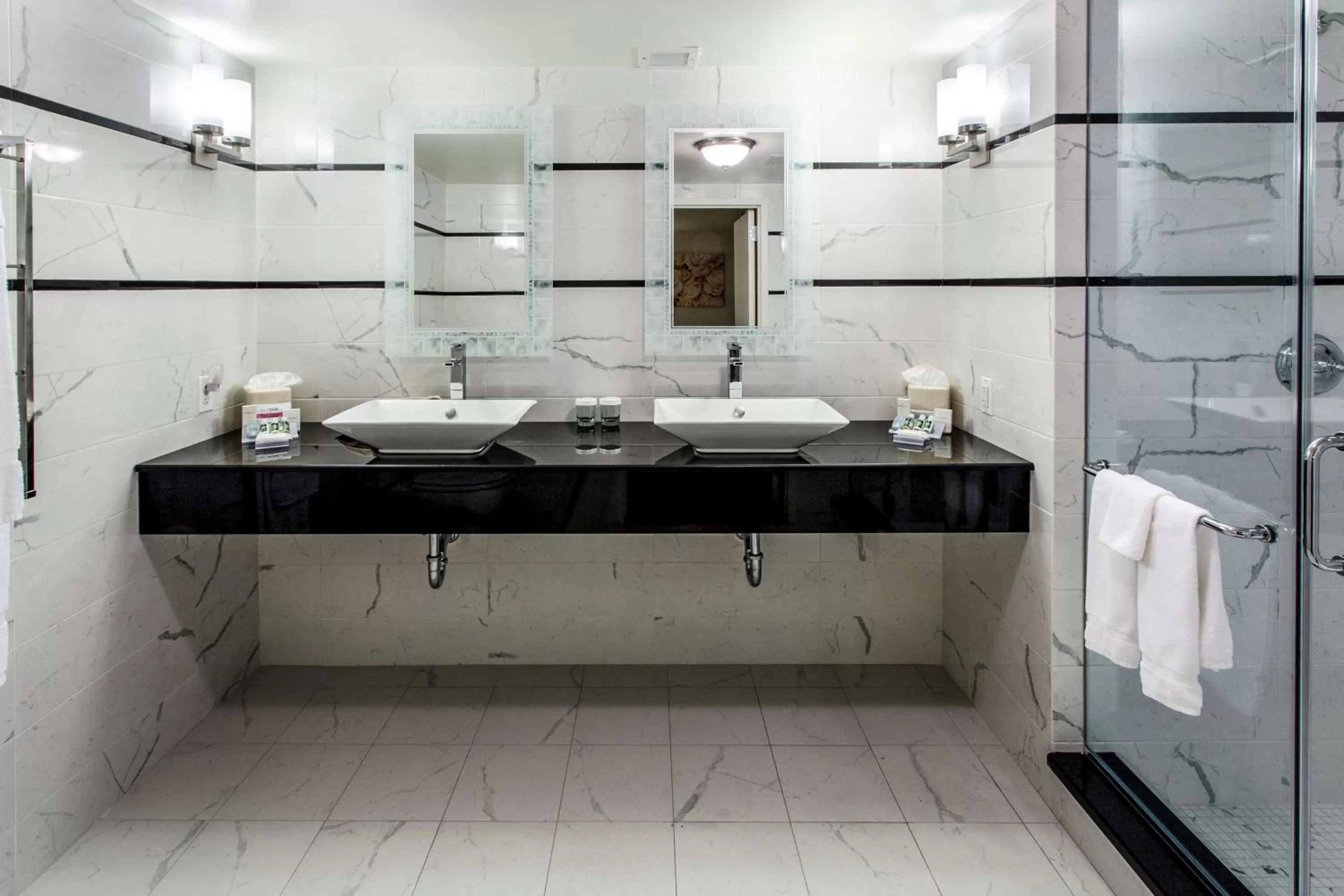 Bathroom in Hilton Garden Inn New York/Staten Island