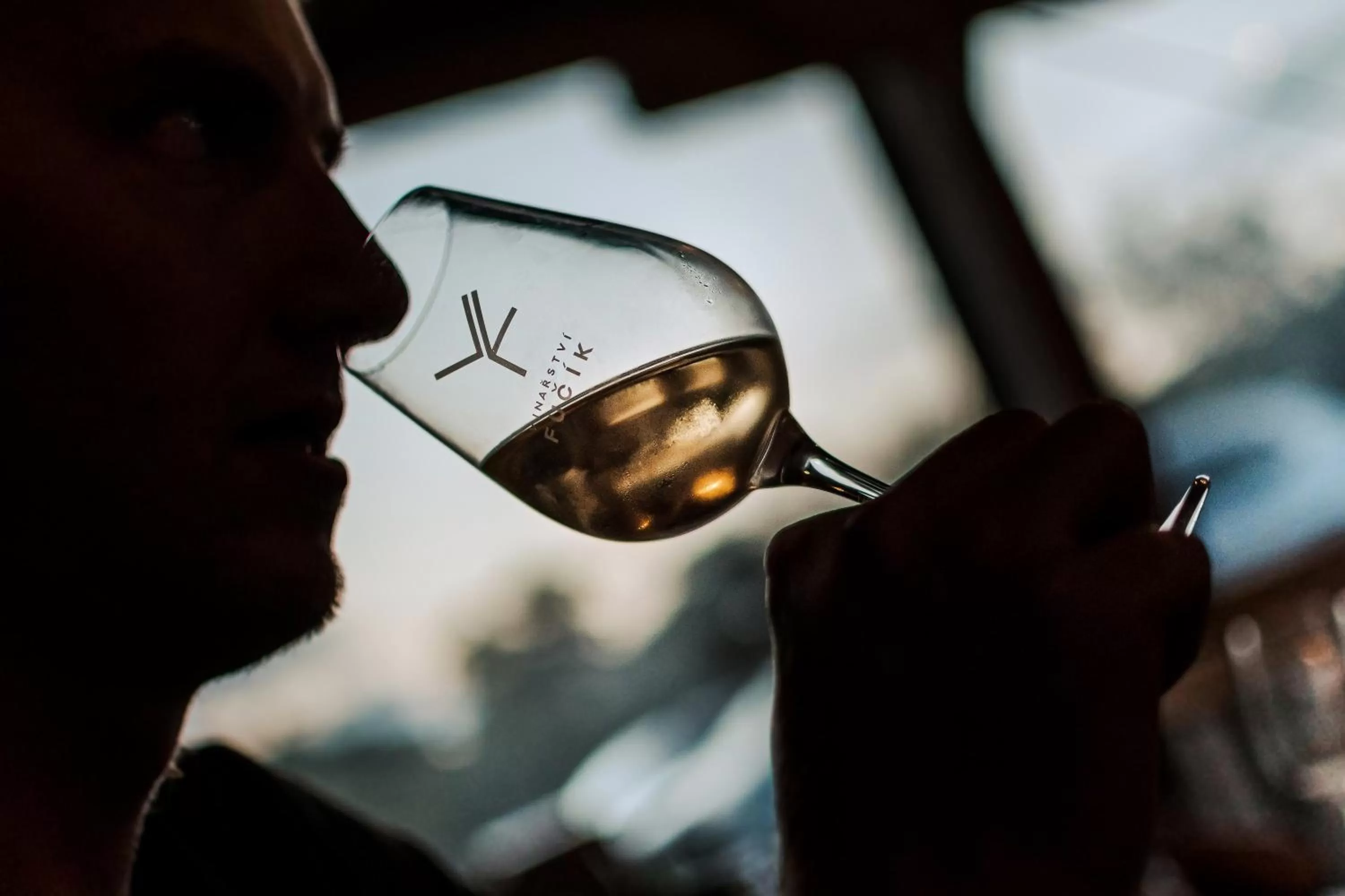 People in Hotel Ryzlink