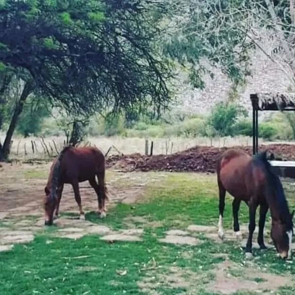 Hotel Hacienda Casa Blanca