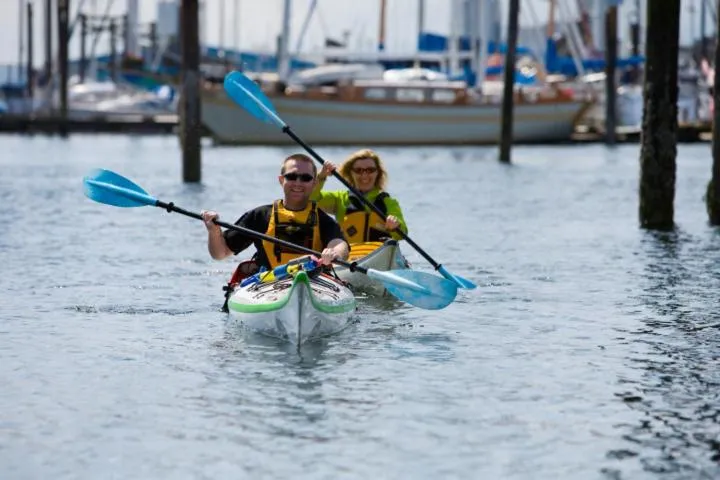 Activities in Painted Turtle Guesthouse