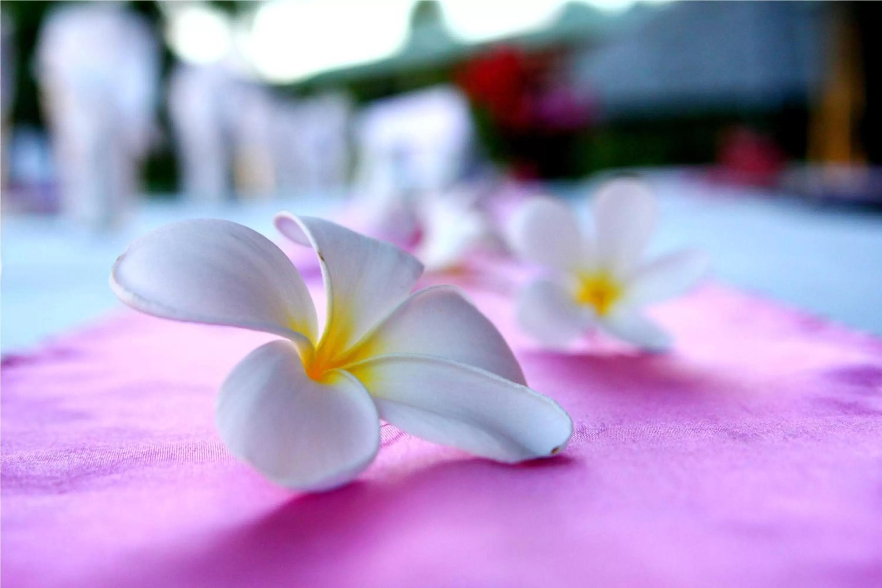 Day in Anchorage Beach Resort