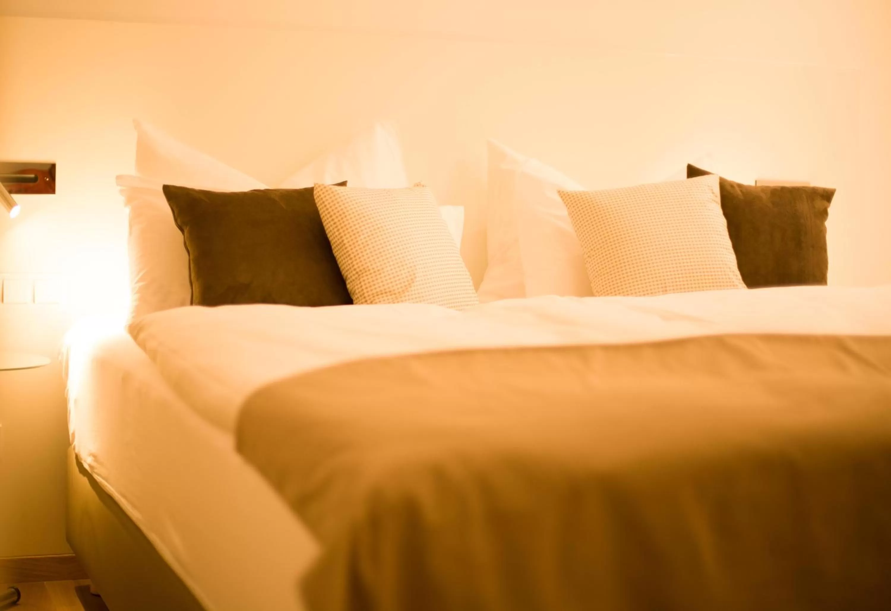 Economy Double Room in Boutique Hotel Villa Katharina