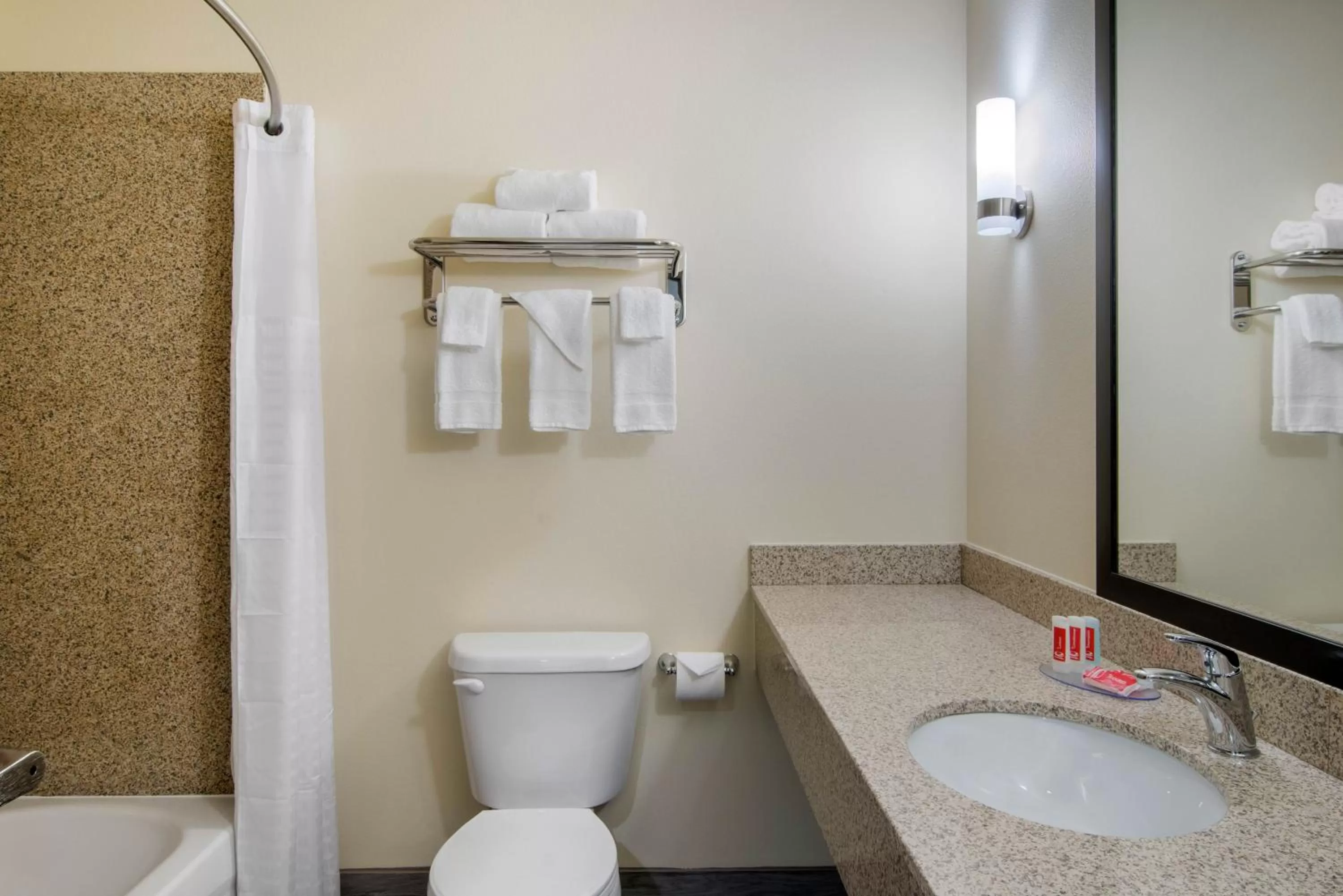 Bathroom in Econo Lodge Inn & Suites Springfield Main Street