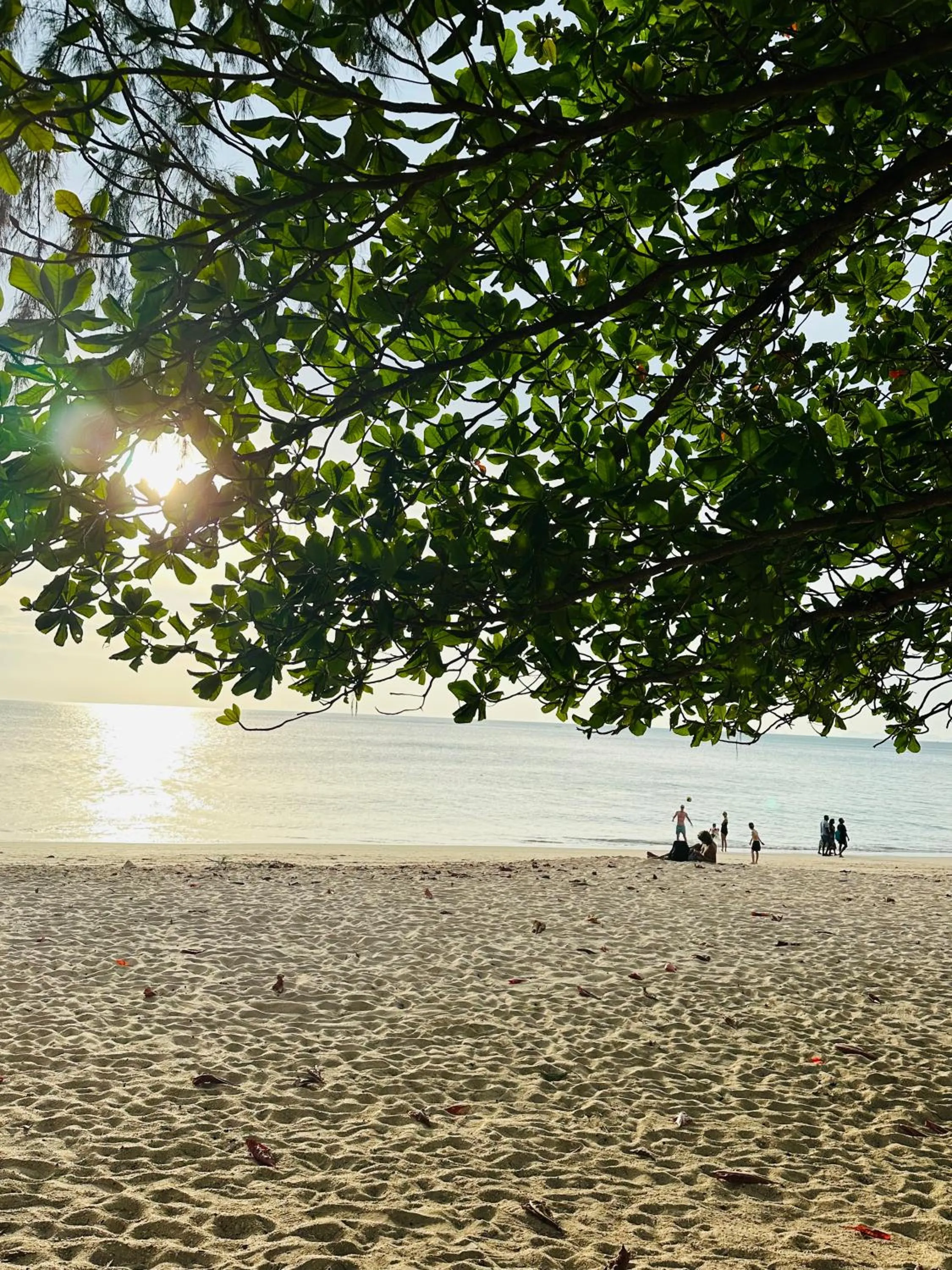 Off site in Lanta L.D. Beach Bungalow