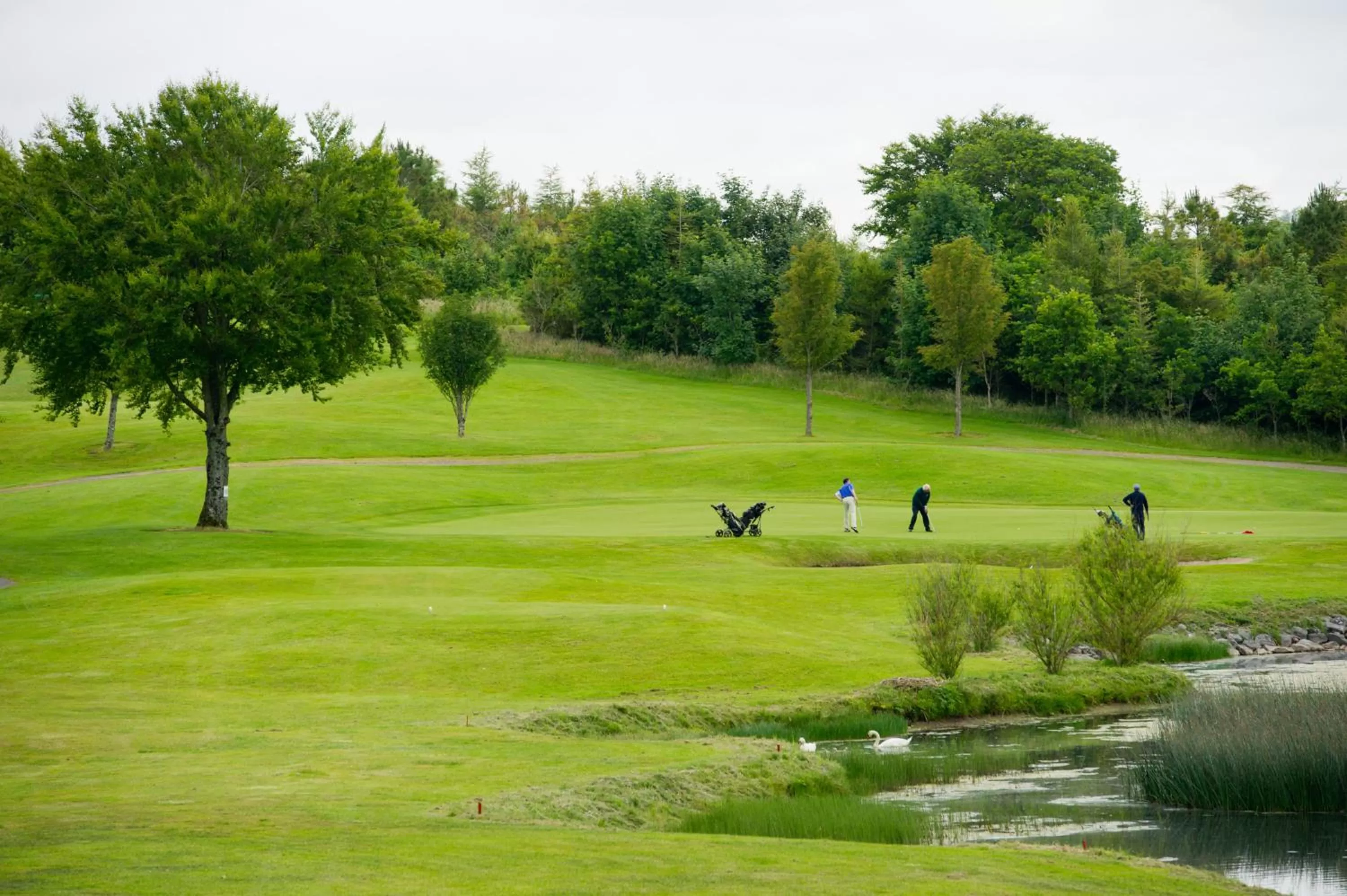 Activities in Hotel Woodstock Ennis