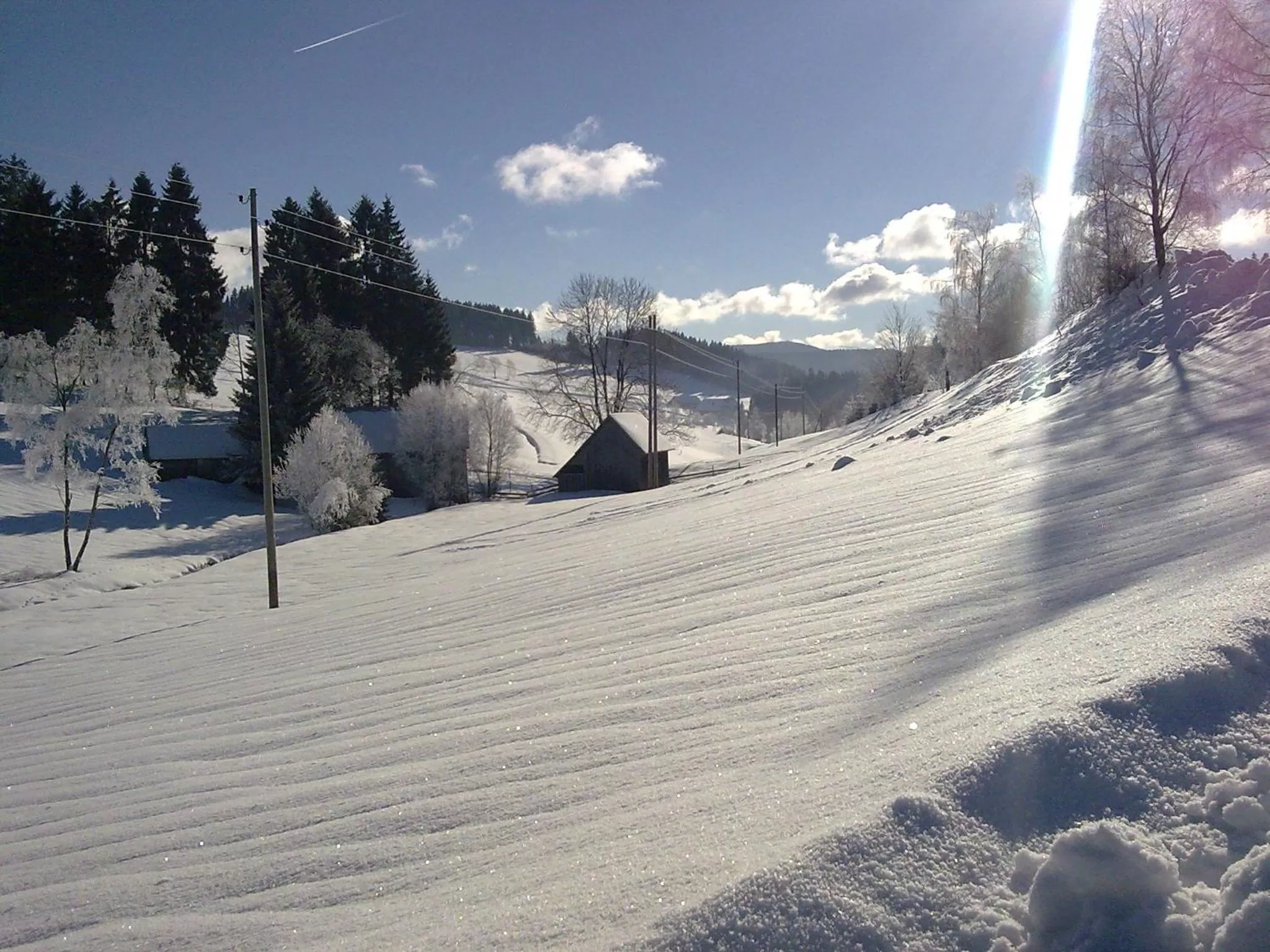 Natural landscape in ZUR TRAUBE Schwarzwaldhotel & Restaurant am Titisee