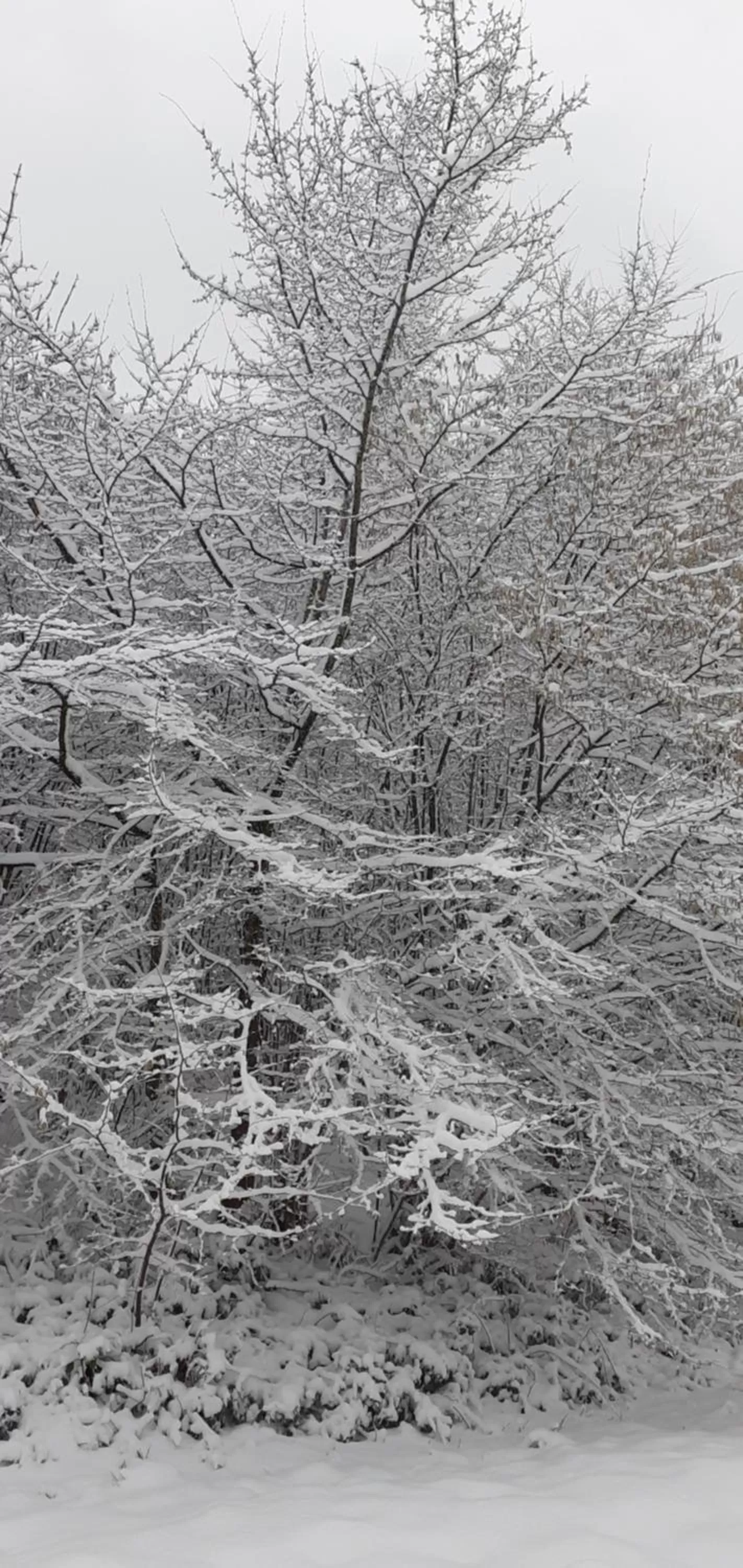 Winter in Au coucher du lac