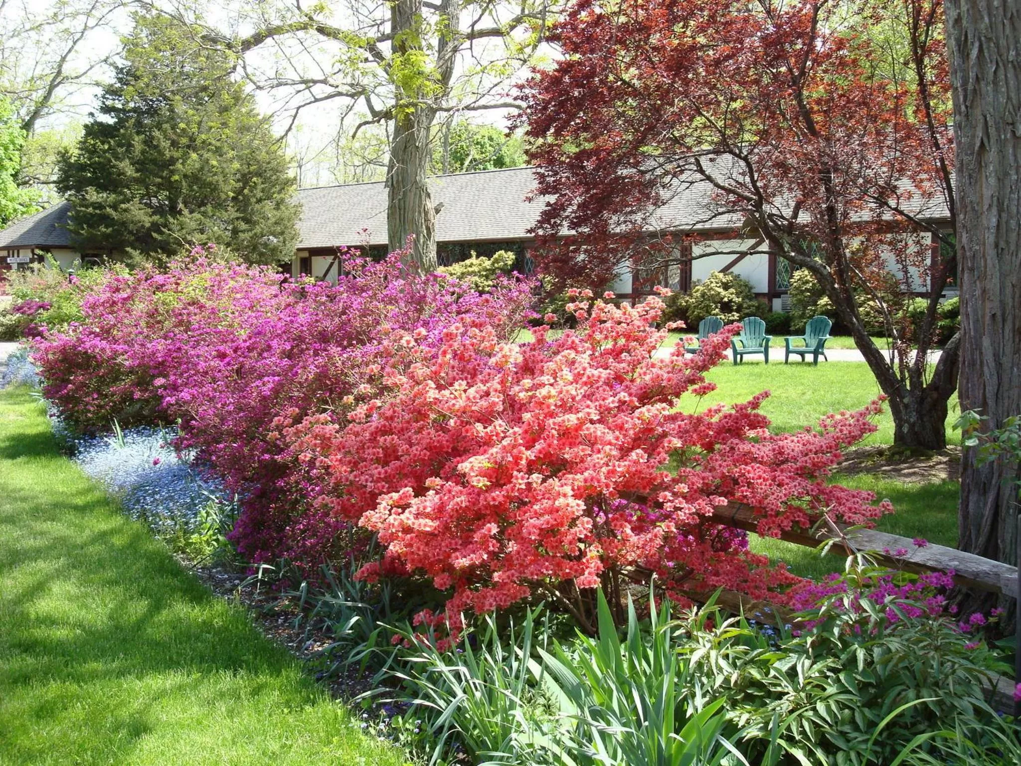 Facade/entrance in The Earl of Sandwich Motel