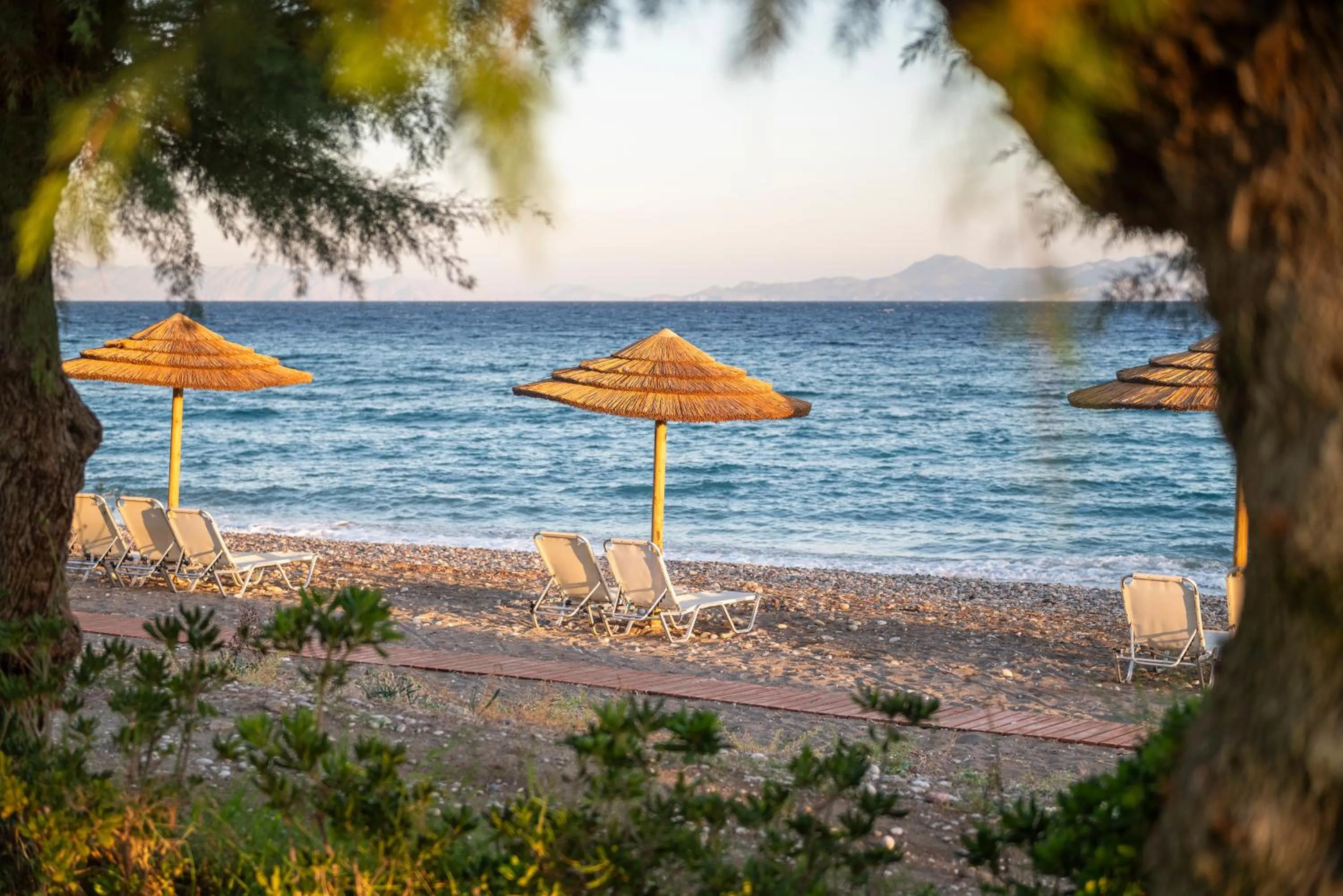 Beach in D'Andrea Mare Hotel