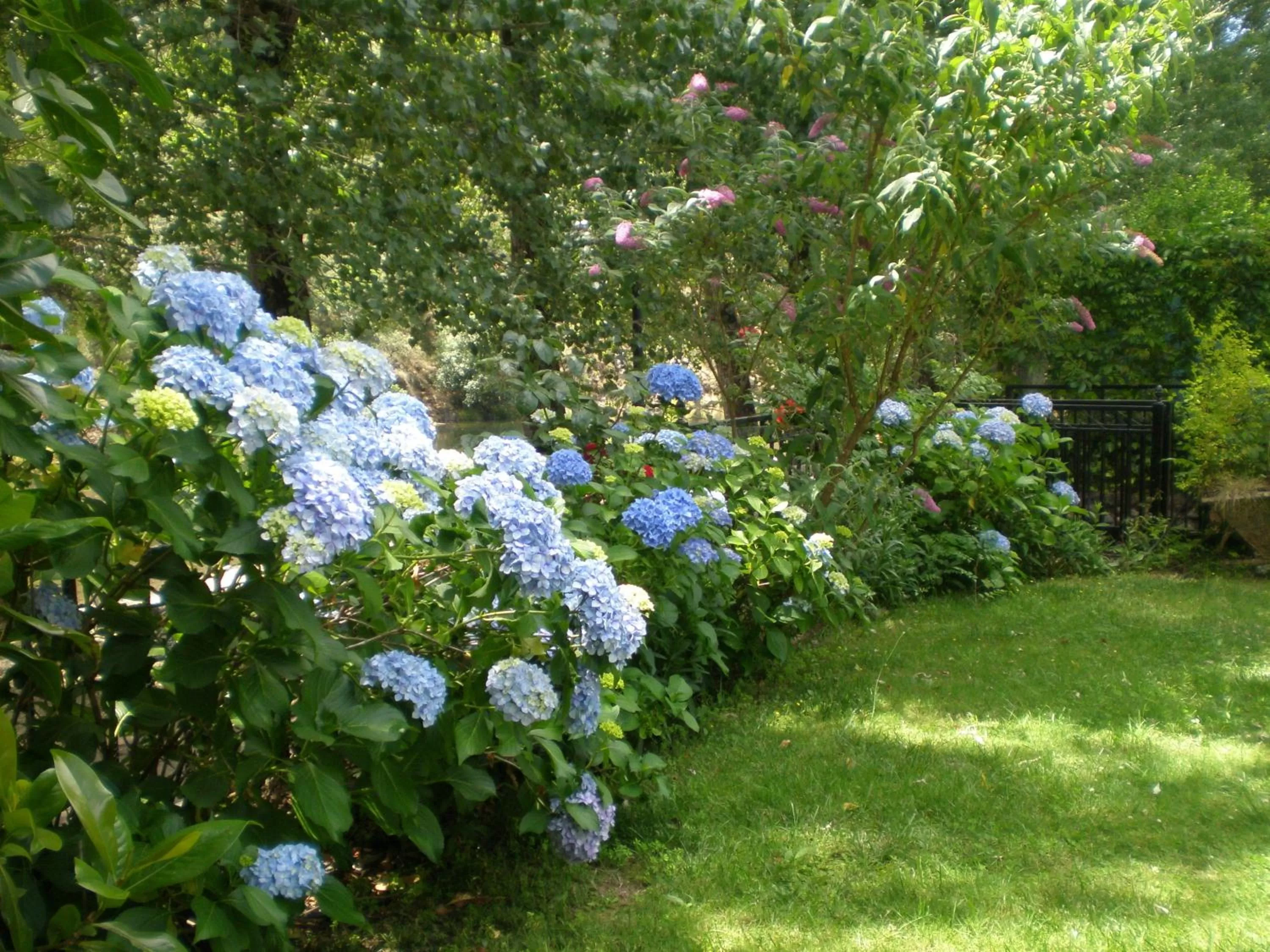 Garden in Hotel Rural Castúo H CC 656