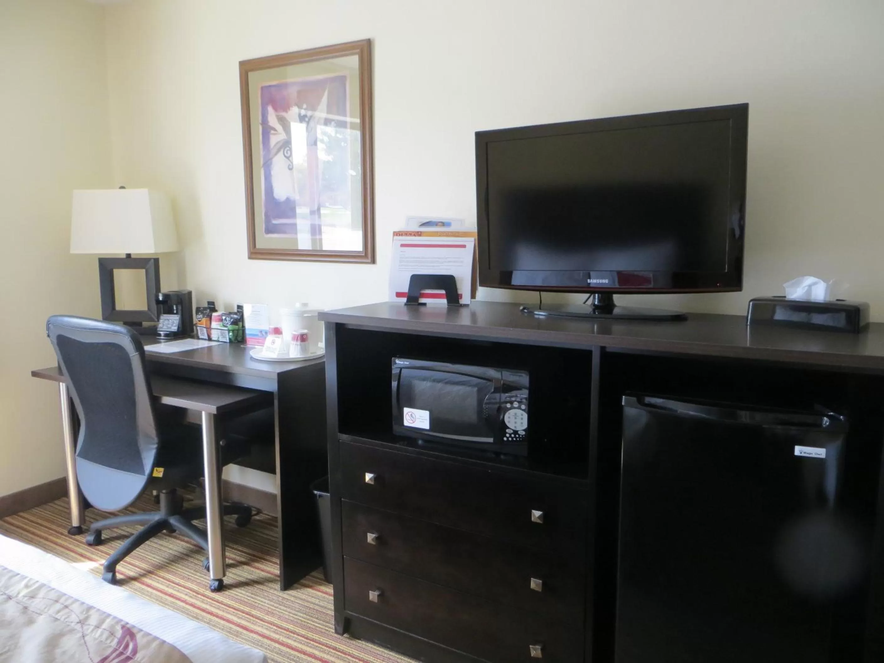 TV and multimedia in Ramada by Wyndham Wisconsin Dells I-90