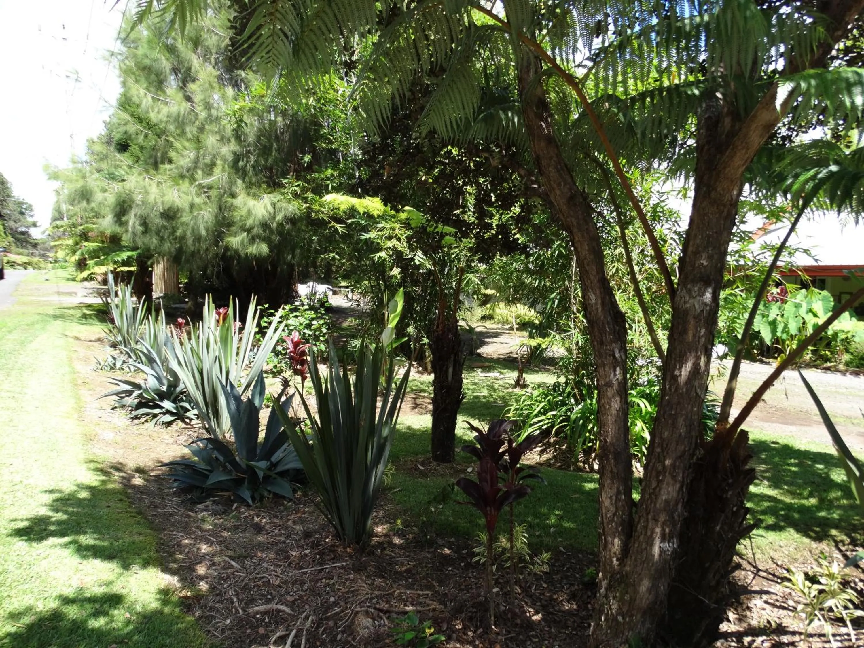 Garden in Lokahi Lodge