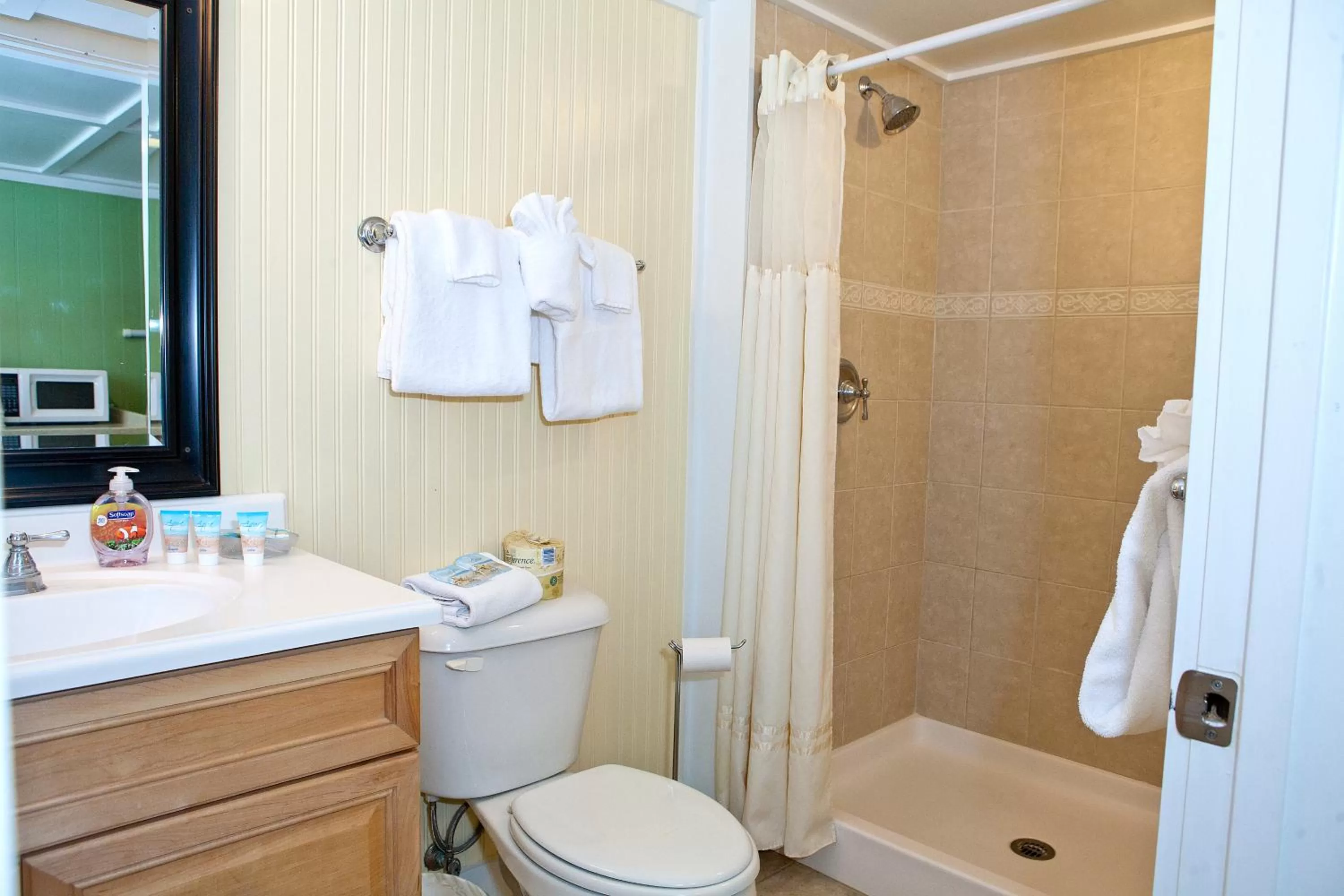 Bathroom in Georgianne Inn & Suites check in 212 Bulter Ave