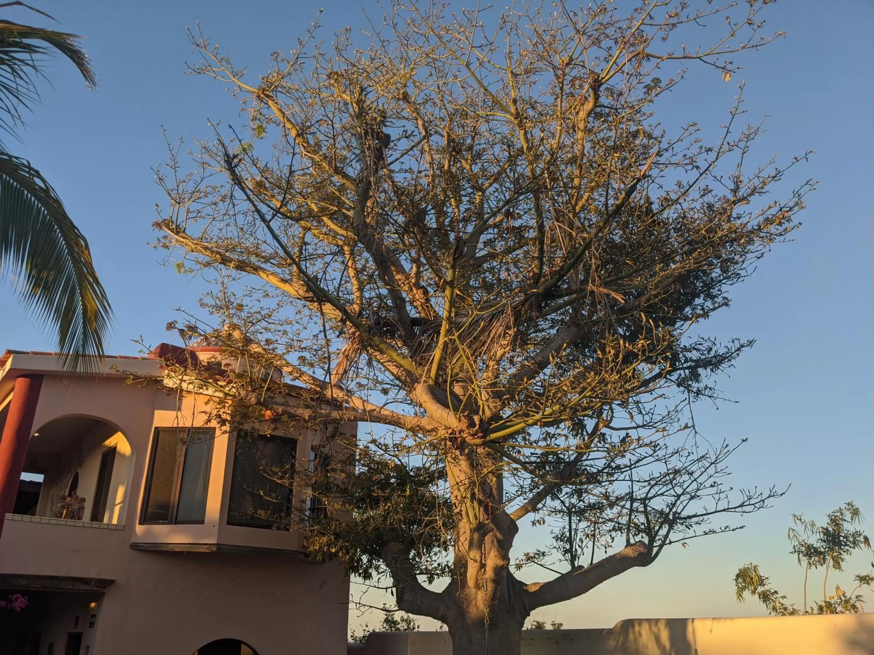 Property building in Hacienda De Palmas