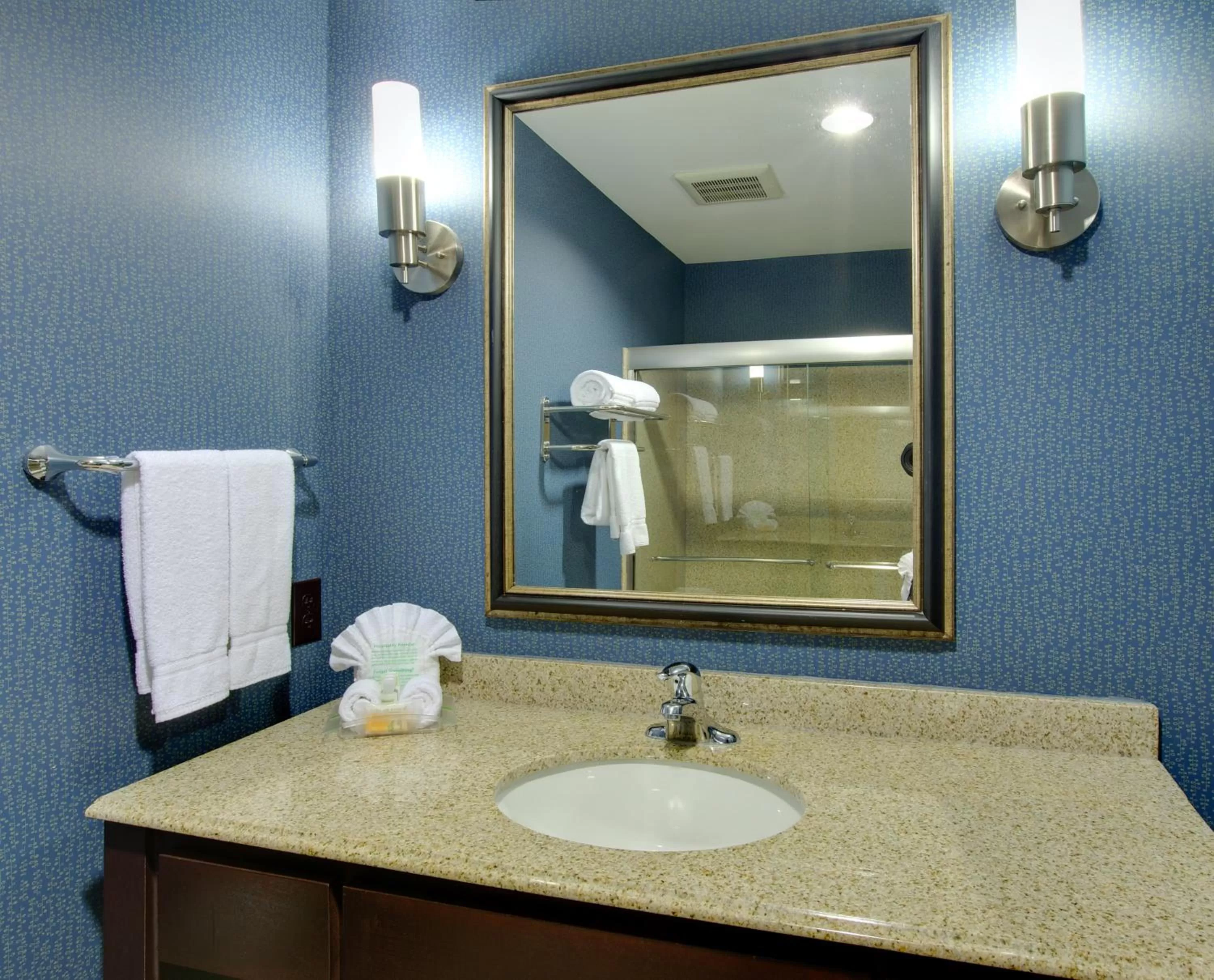 Bathroom in Holiday Inn Houston East-Channelview by IHG